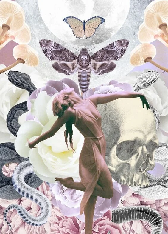 Art by Danielle Noel