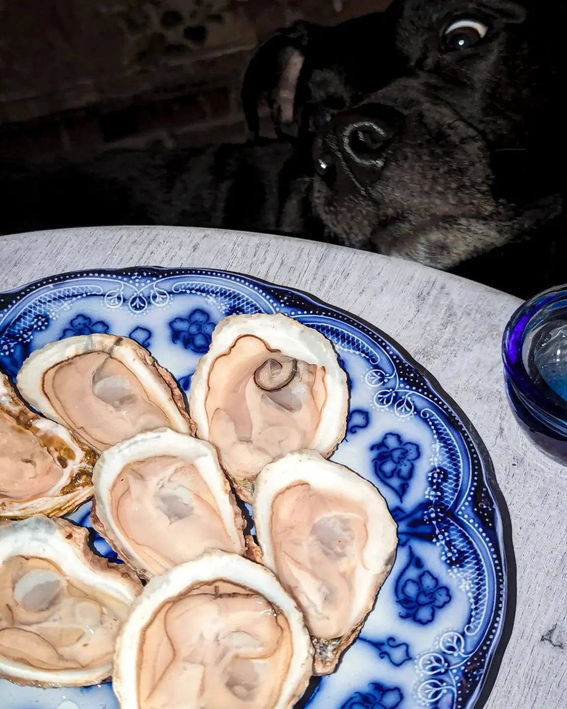 These are the first lil oyster babies I've enjoyed since New Years, and oh, my bitty loves!! I've missed you.

There's lots of little shifts I'm making to realign with the &quot;Why&quot; behind this whole venture. Slogging away for money has never b