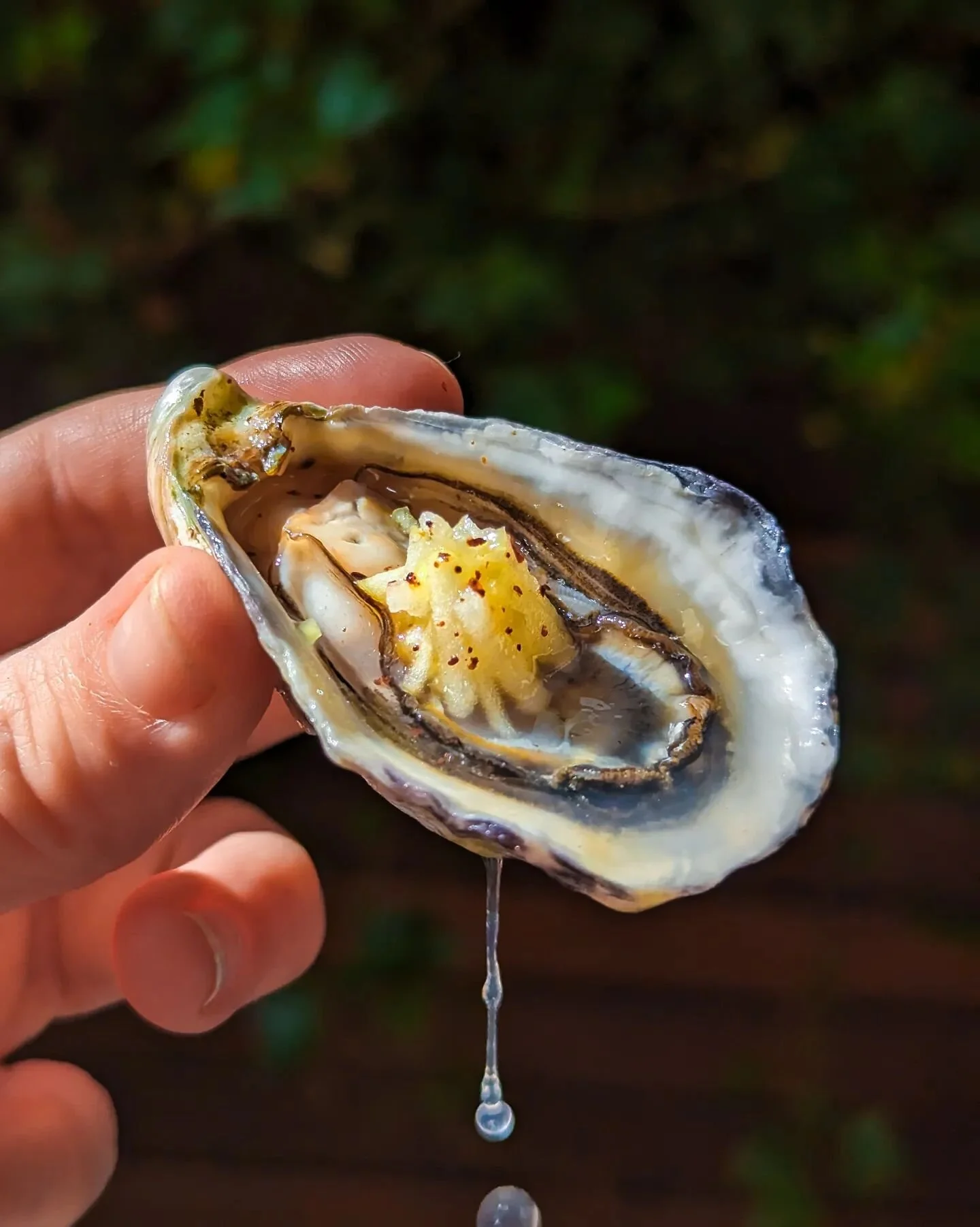 Full disclosure: I am generally not a fan of fall. Once the weather dips below 70&deg;F, I'm grasping for any last little bit of sun and warmth that I can. However, this is Peak Oyster Season (redemption!), and I have just been handed a pile of SunSe