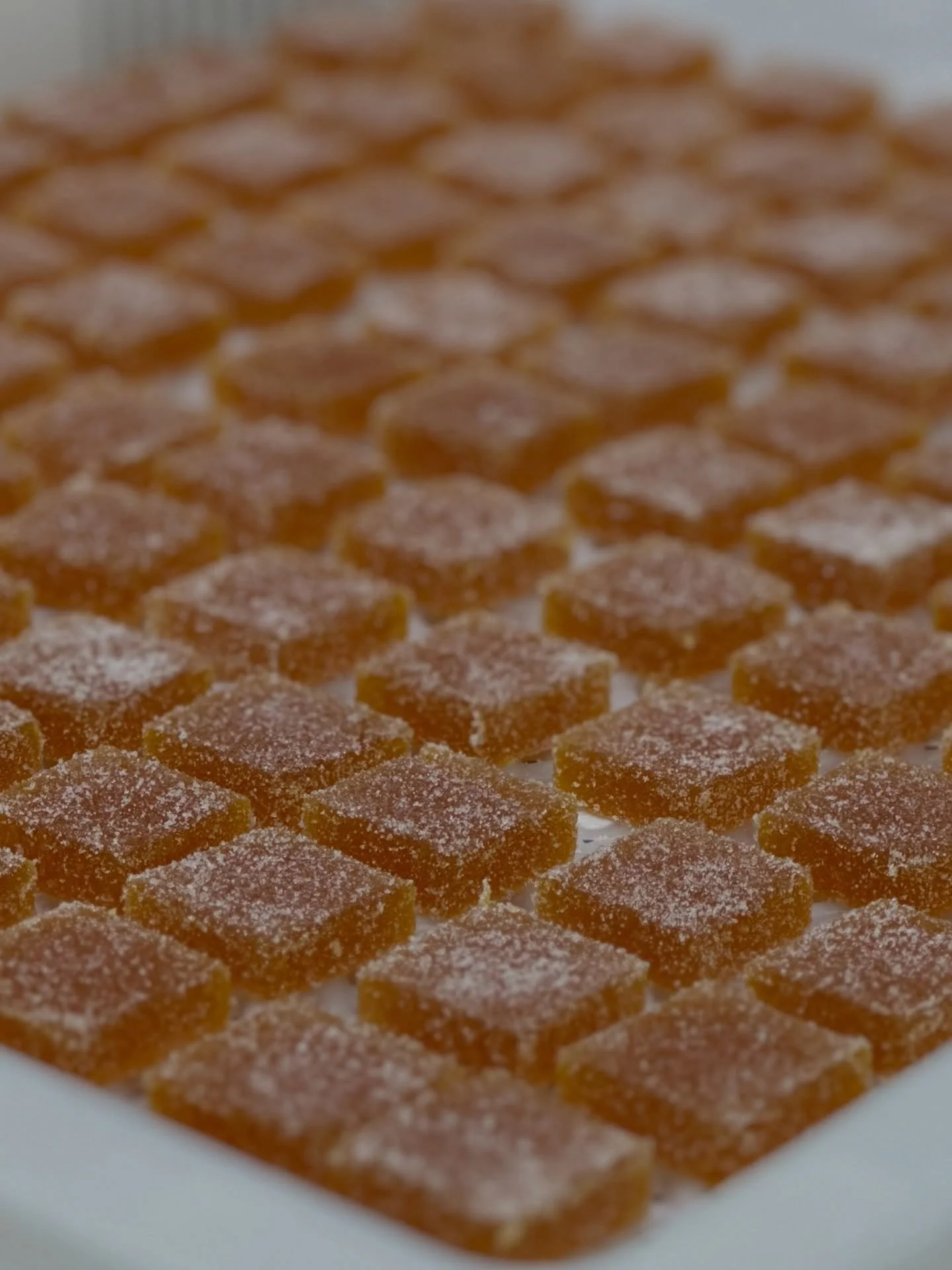 Favorite p&acirc;te de fruit? 🤩 A)Mango Passion; B)Raspberry; C)Blackberry; or D)Pear #gummies #candy #sweet