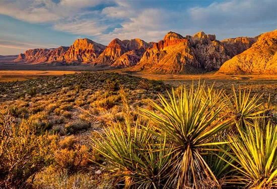 Red sandstone cliffs and desert landscape at Red Rock Canyon near Las Vegas