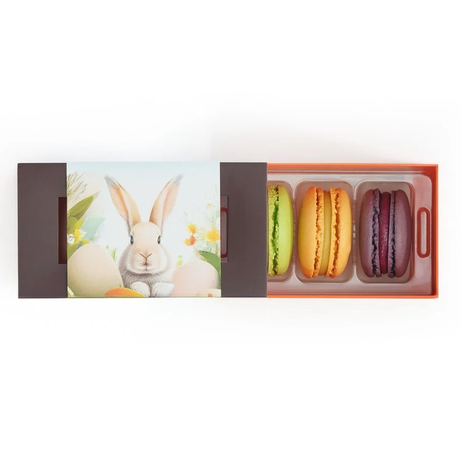 3ct EASTER French Macarons