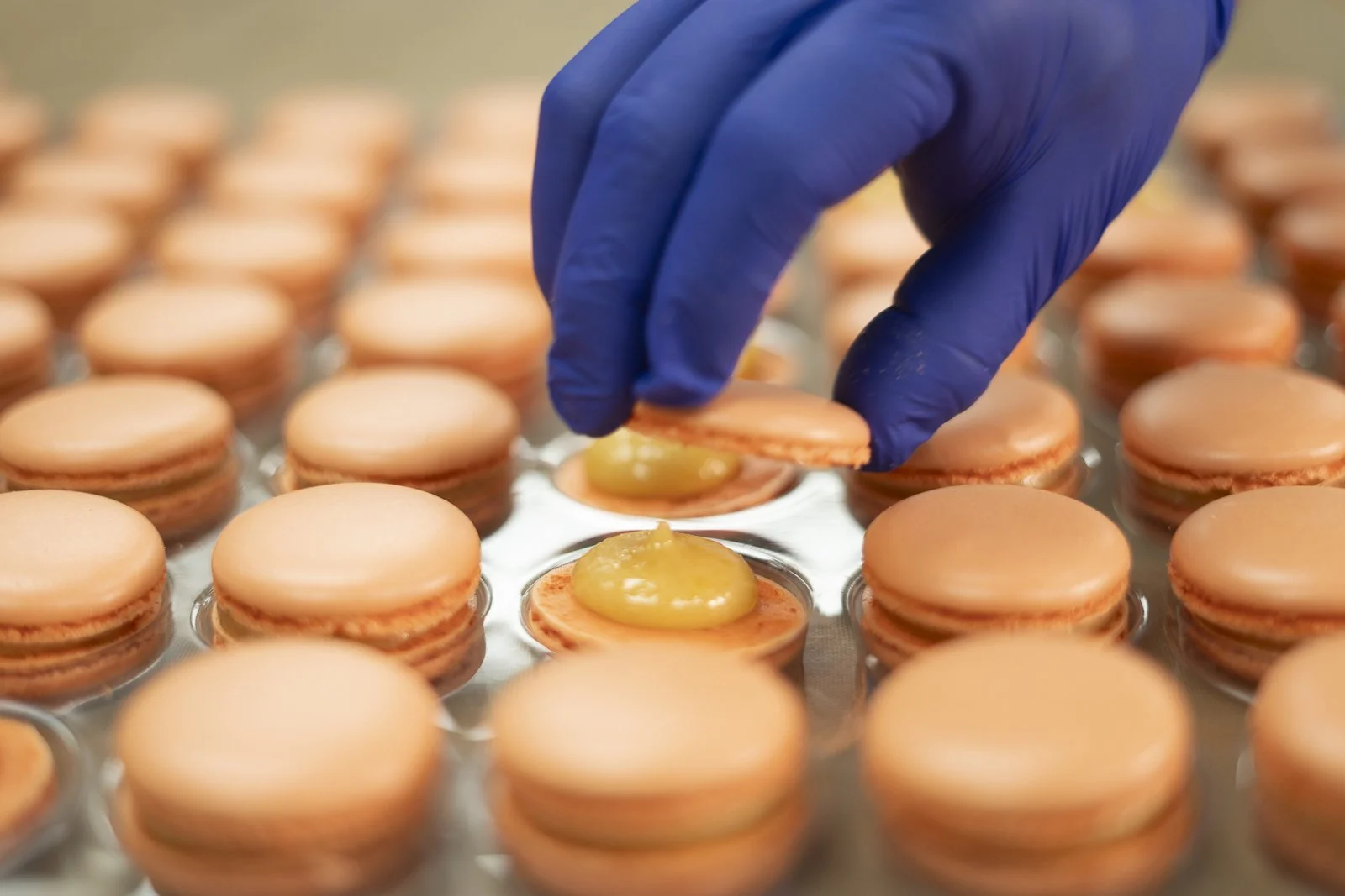 Gourmet French macarons made with premium quality ingredients for a burst of flavors by Jean-Marie Auboine Chocolatier