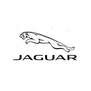 Jaguar logo featuring a leaping jaguar above the word 'JAGUAR' in bold letters.
