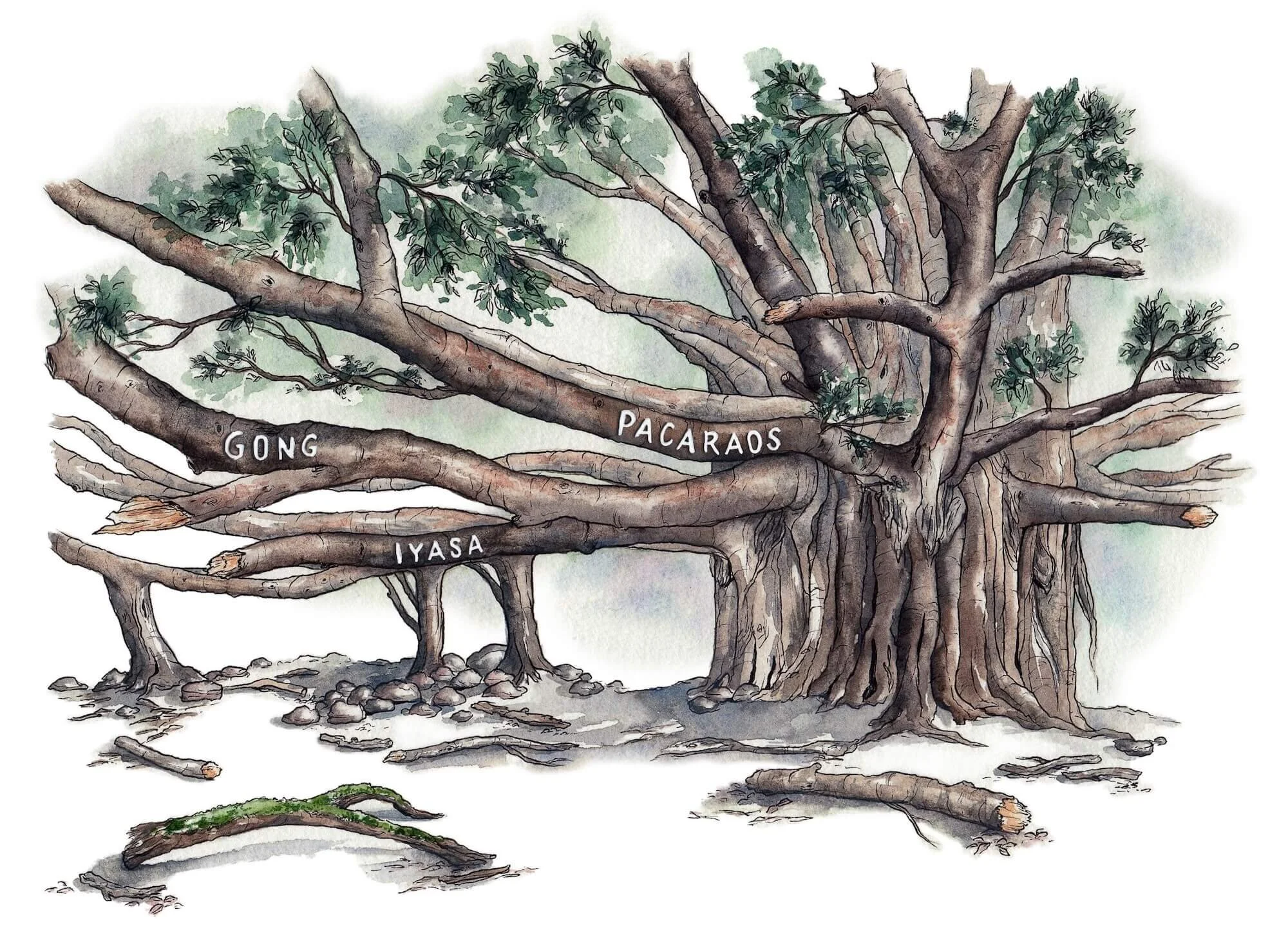 Painting by Candace Rose Rardon.