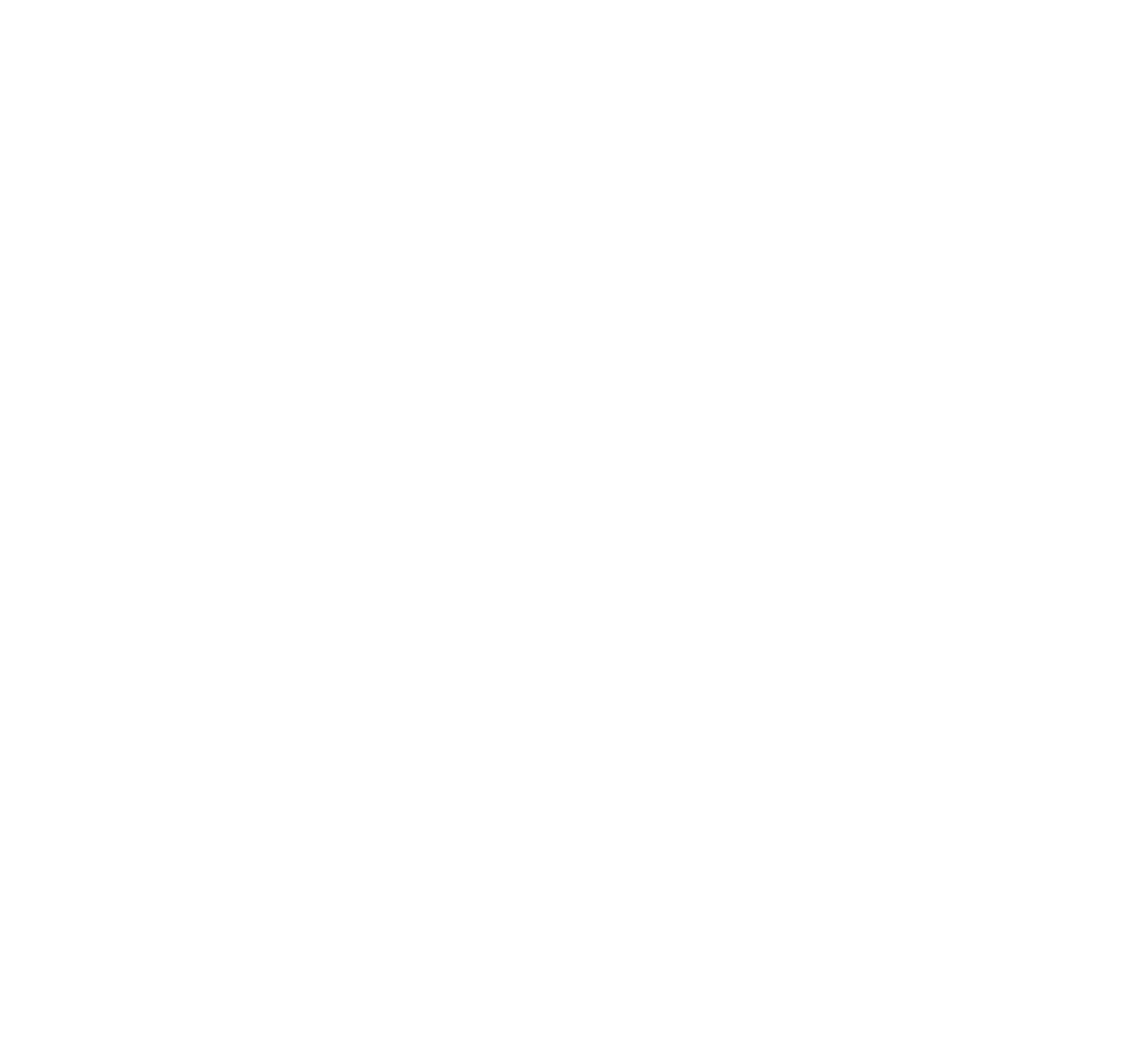 Jeune conseil de Montréal