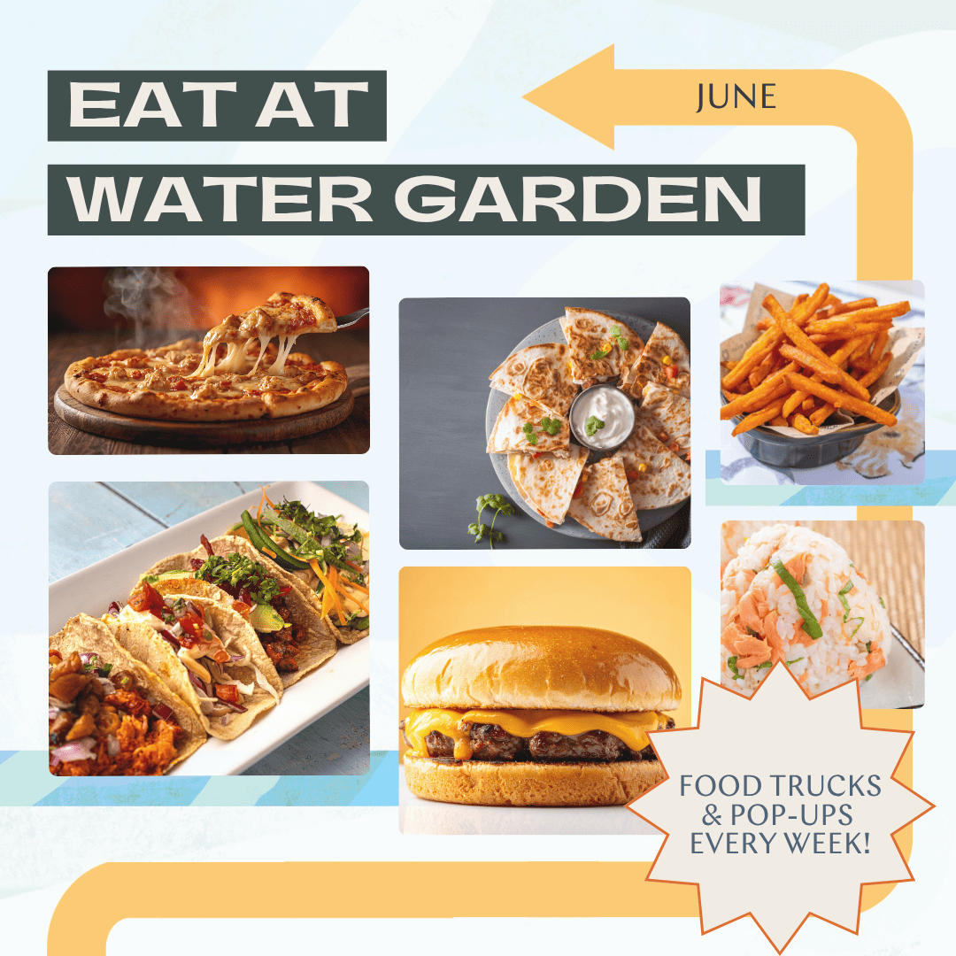 Eat @ WG: Anas Cocina