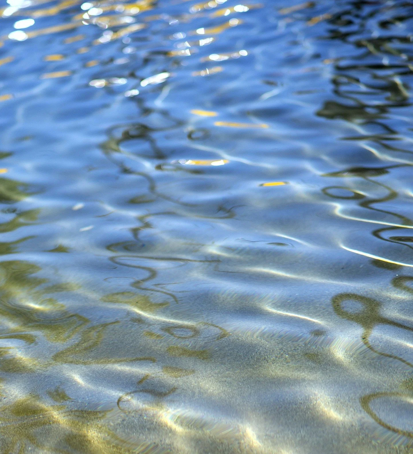 Find your flow.⁠
⁠
#WaterGardenSM #WaterIsPeaceful #OfficeOasis #SantaMonica #MindfulMoments