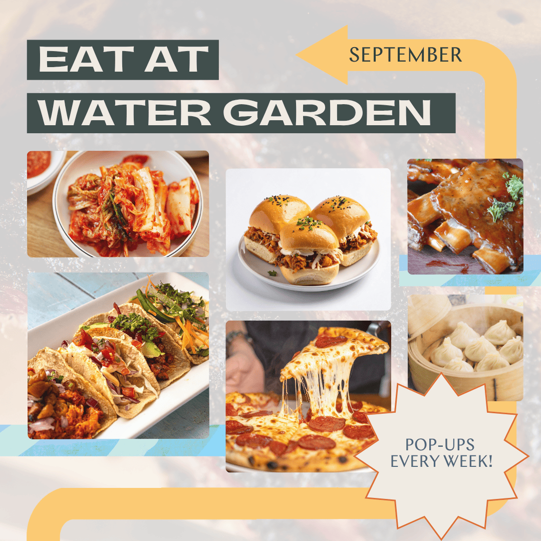 Eat @ WG: The Dumpling Dream
