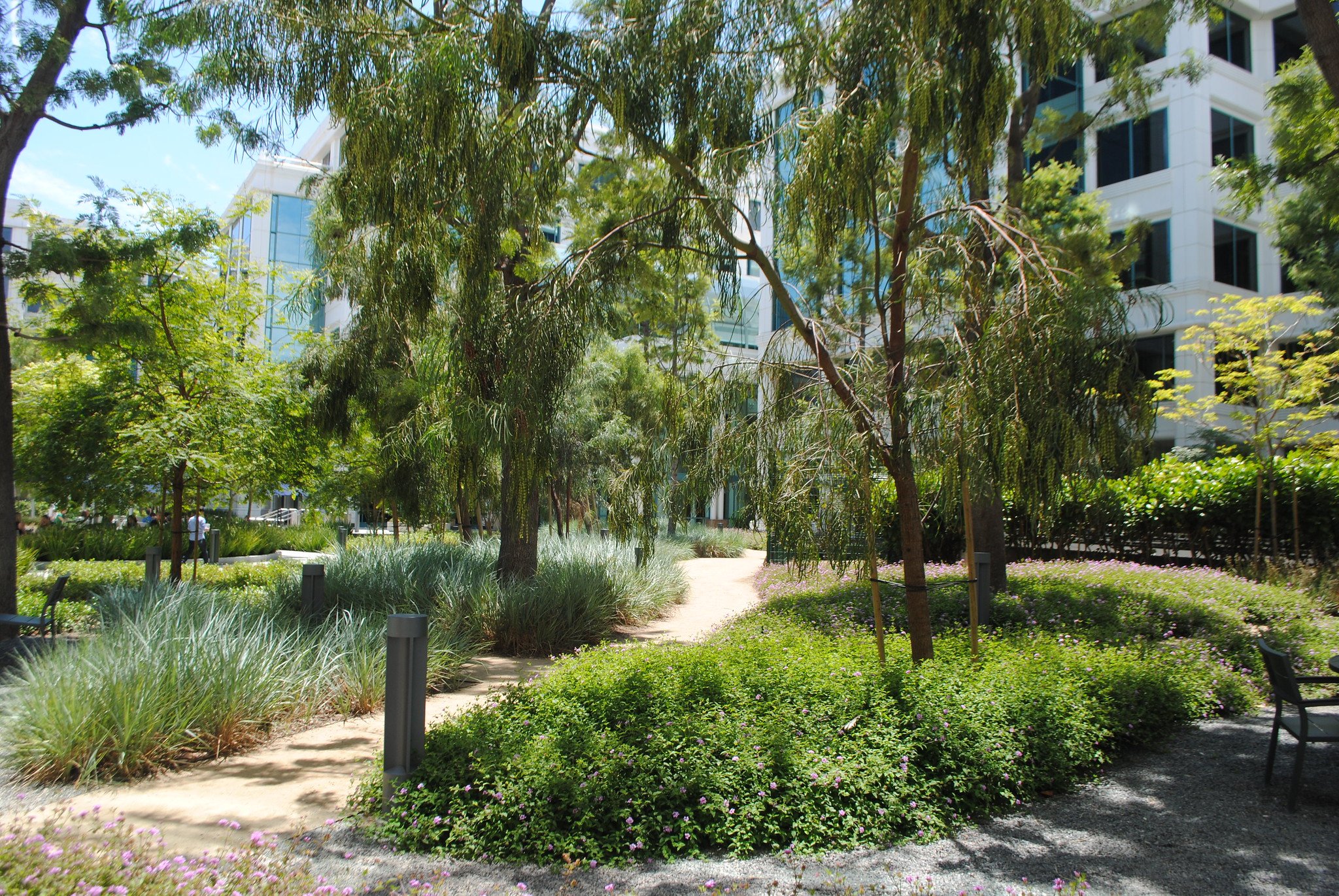 Sensory Garden.jpg
