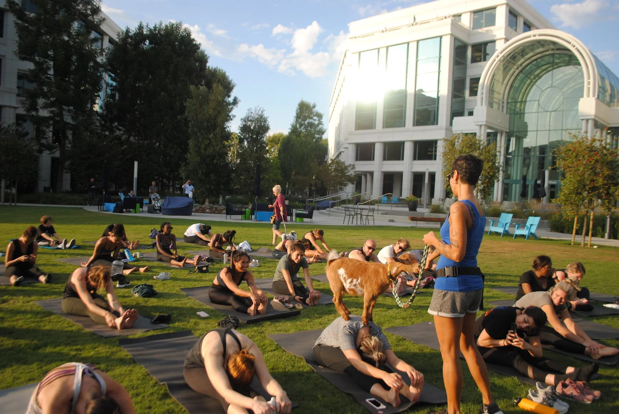 wg_events_goat yoga 1.jpg