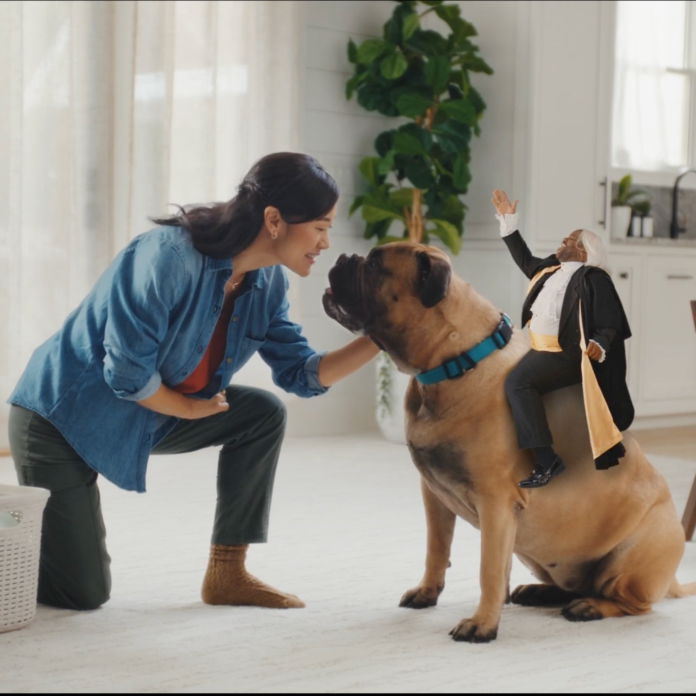 Shaw Floors: TV