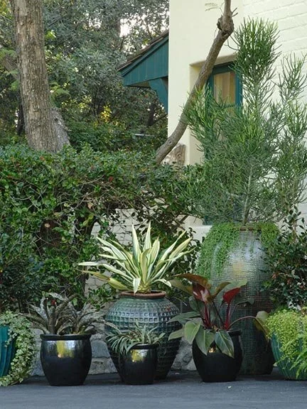 melinda-ritz-farnam-estate-front-plants.jpg