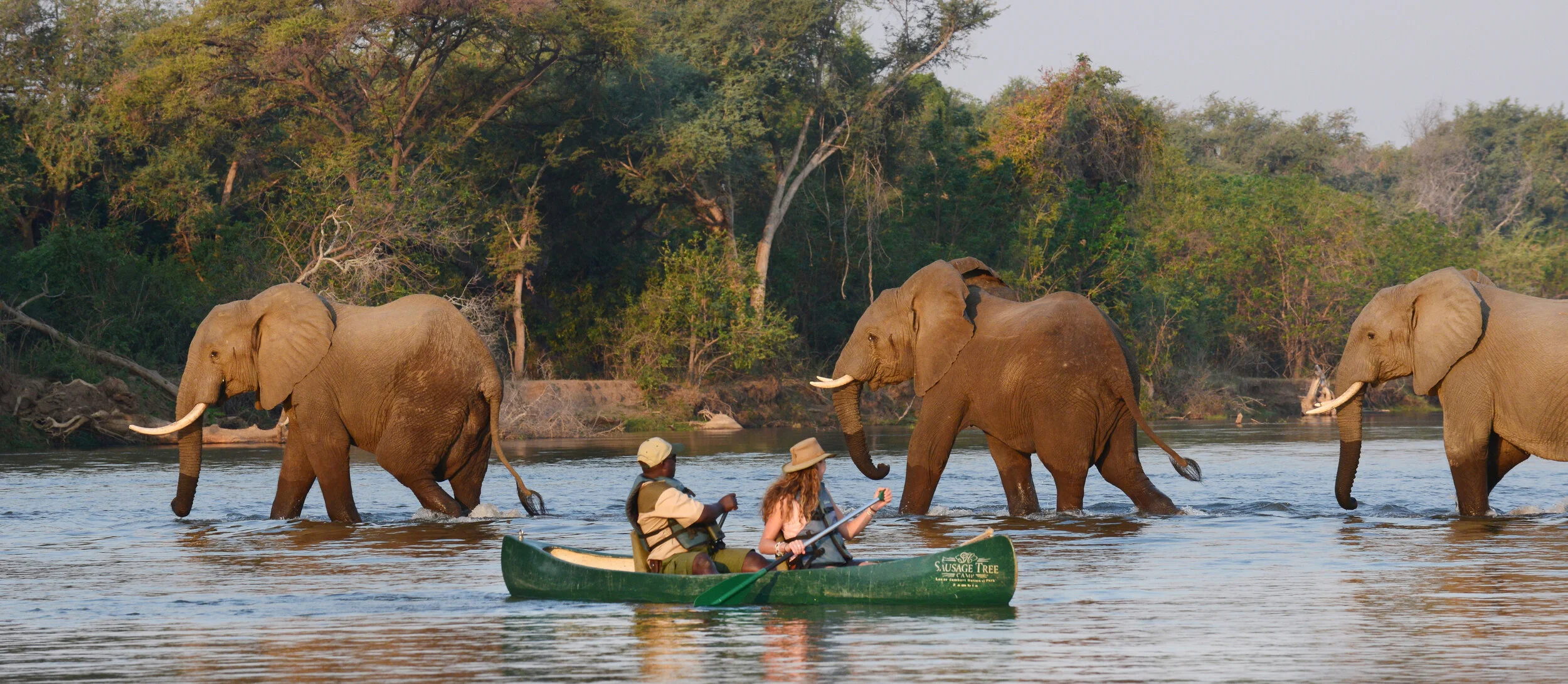 Kafue National Park Tett Safaris Kafue National Park Tett Safaris