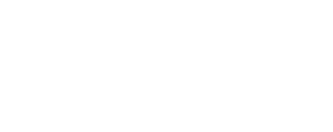 Tett Safaris