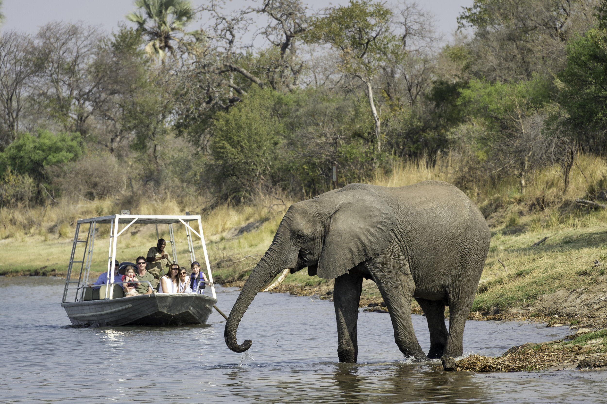 boating-elephant-Toka-Leya-Camp-Livingstone-Zambia-Safaris-CREDIT-Dana-Allen (9).jpg