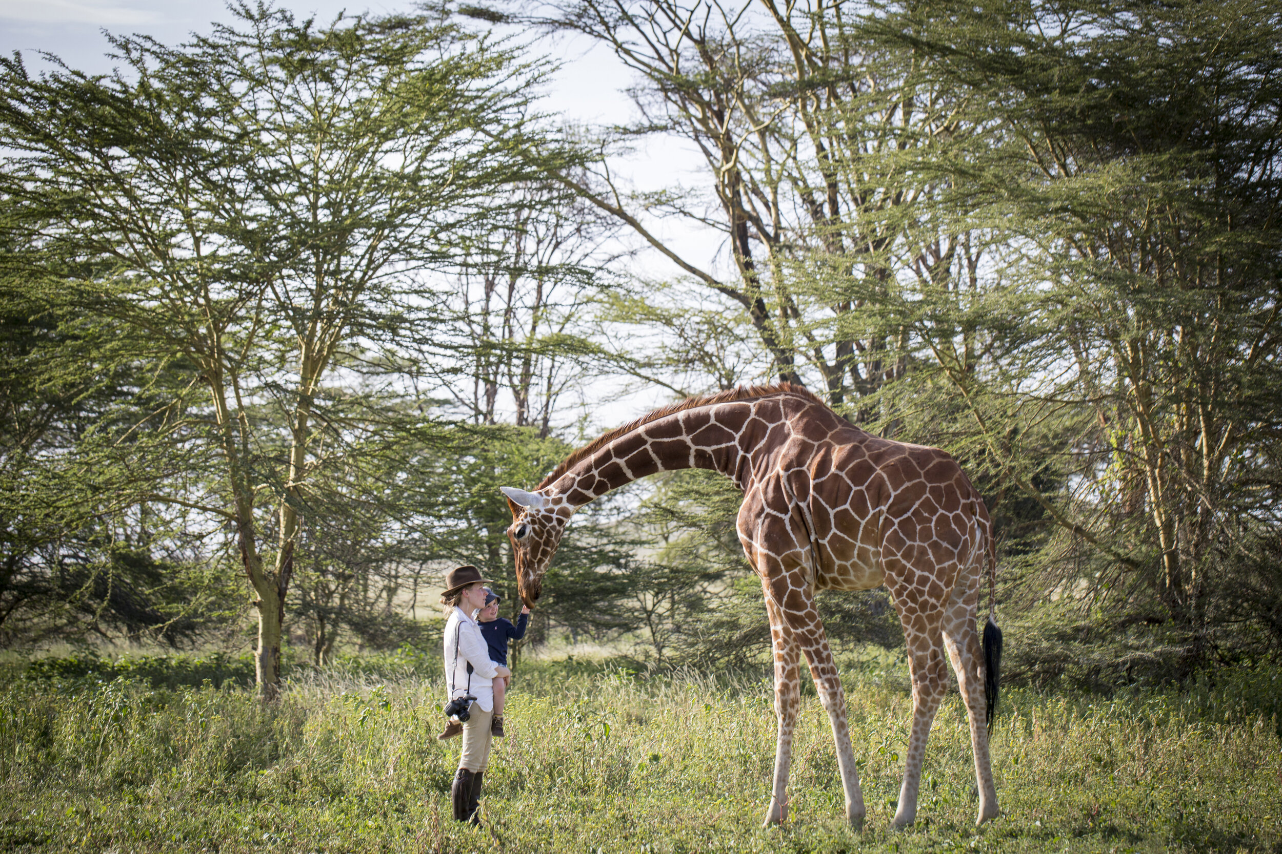 giraffe_family-Safari_Sirikoi-Laikipia-Plateau-Kenya-Safaris_Tett-Safaris.jpg
