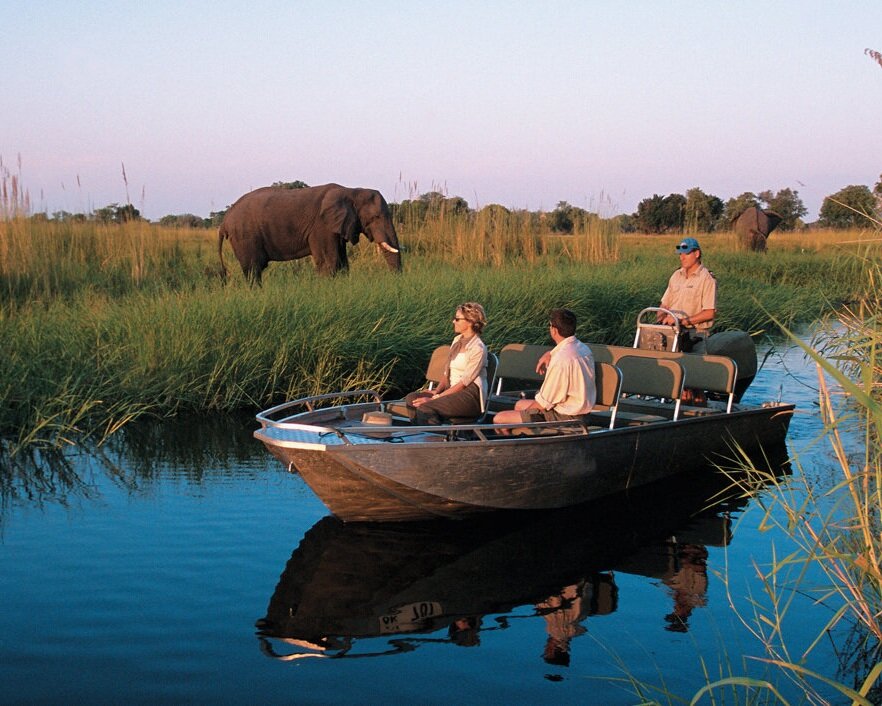 gameviewing-by-boat-Eagle-Island-Camp-Okavango-Delta-Botswana+%282%29.jpg