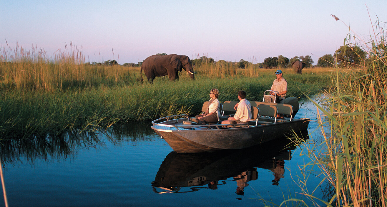 gameviewing-by-boat-Eagle-Island-Camp-Okavango-Delta-Botswana (2).jpg