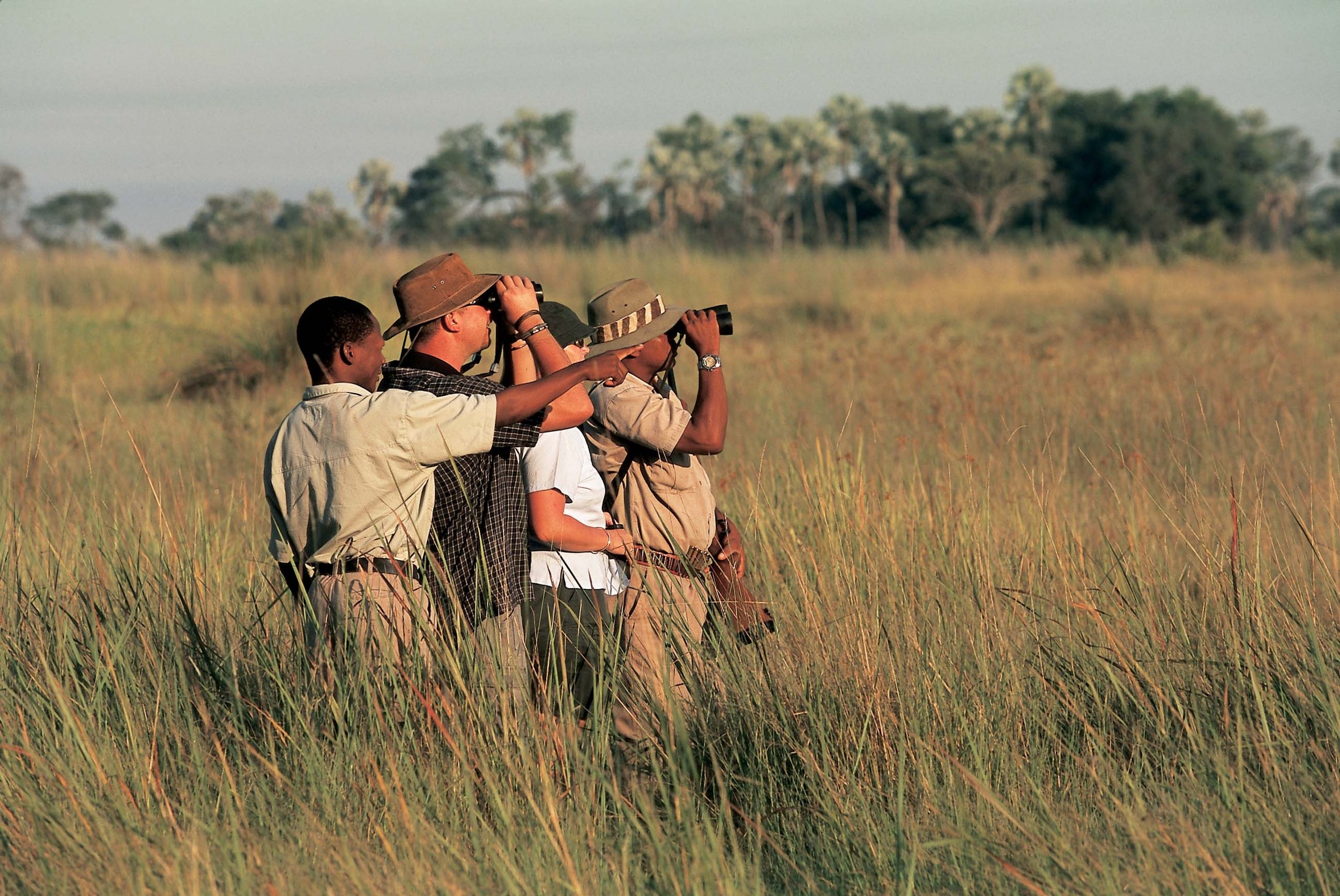 Walking-safari-Chitabe-Camp-Okavango.jpg