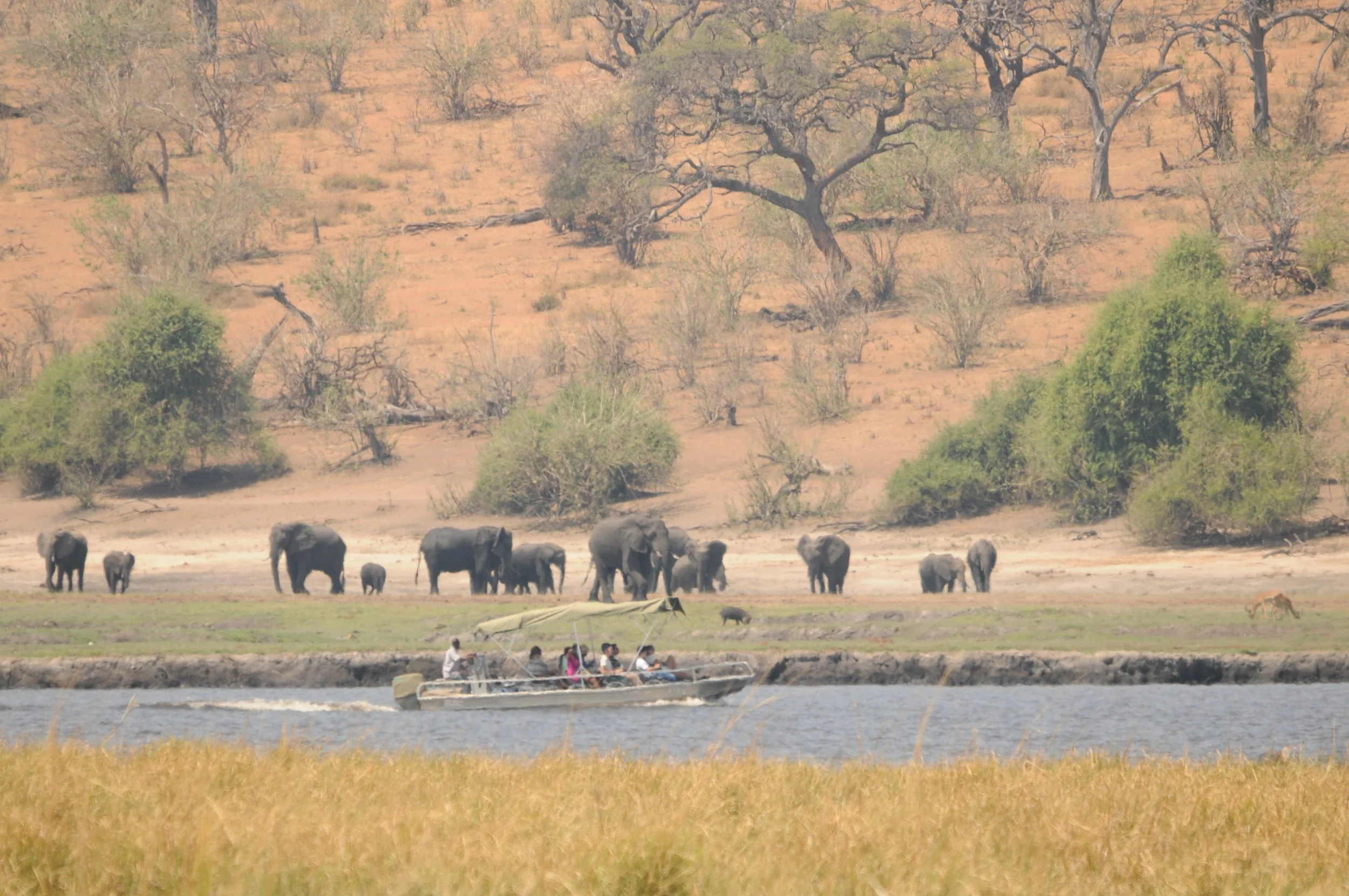 Chobe, Hwange & the Wild Zambezi — Tett Safaris