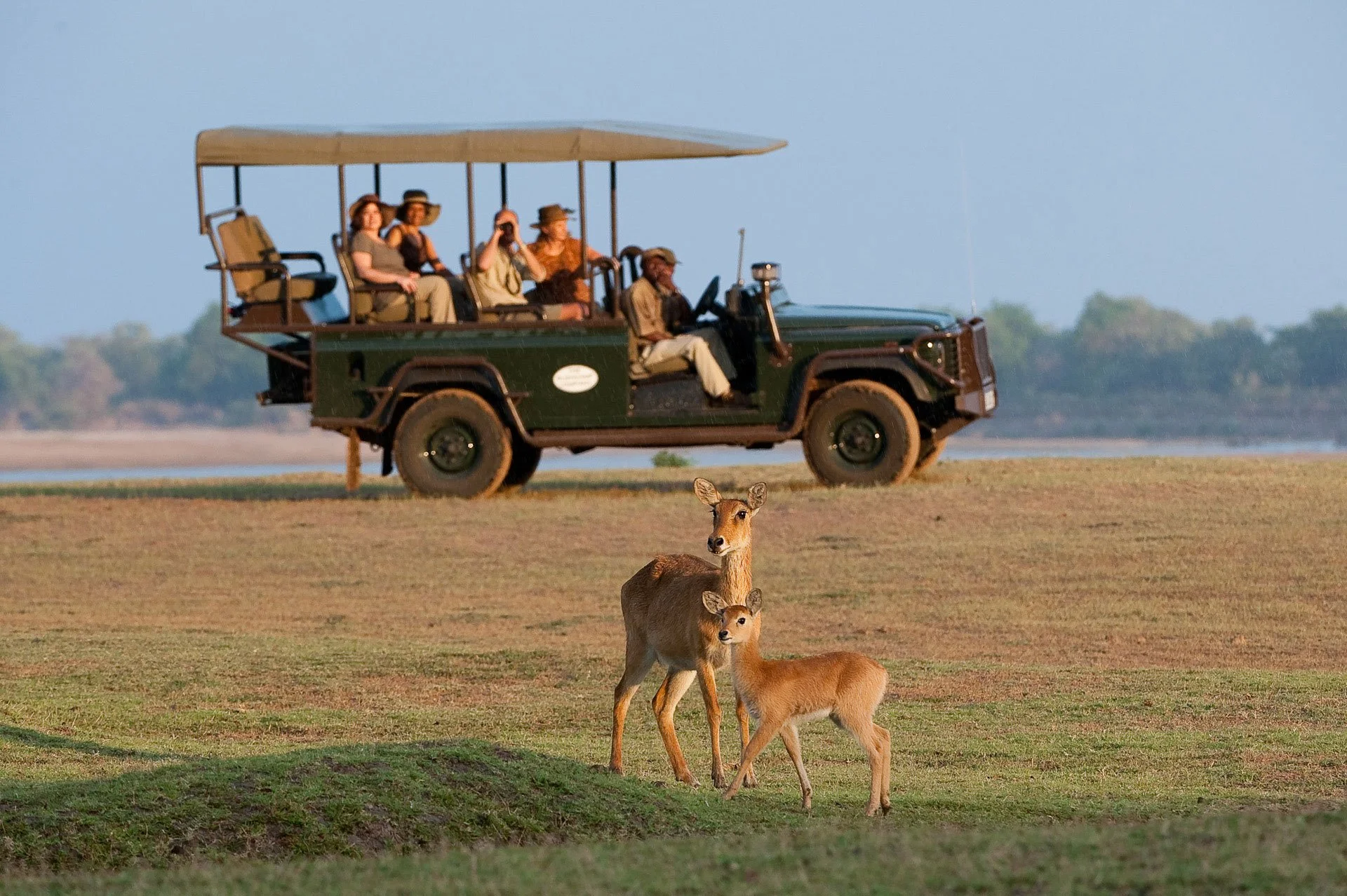 game-drive-The-Bushcamp-Company-South-Luangwa-National-Park-Zambia (24).jpg