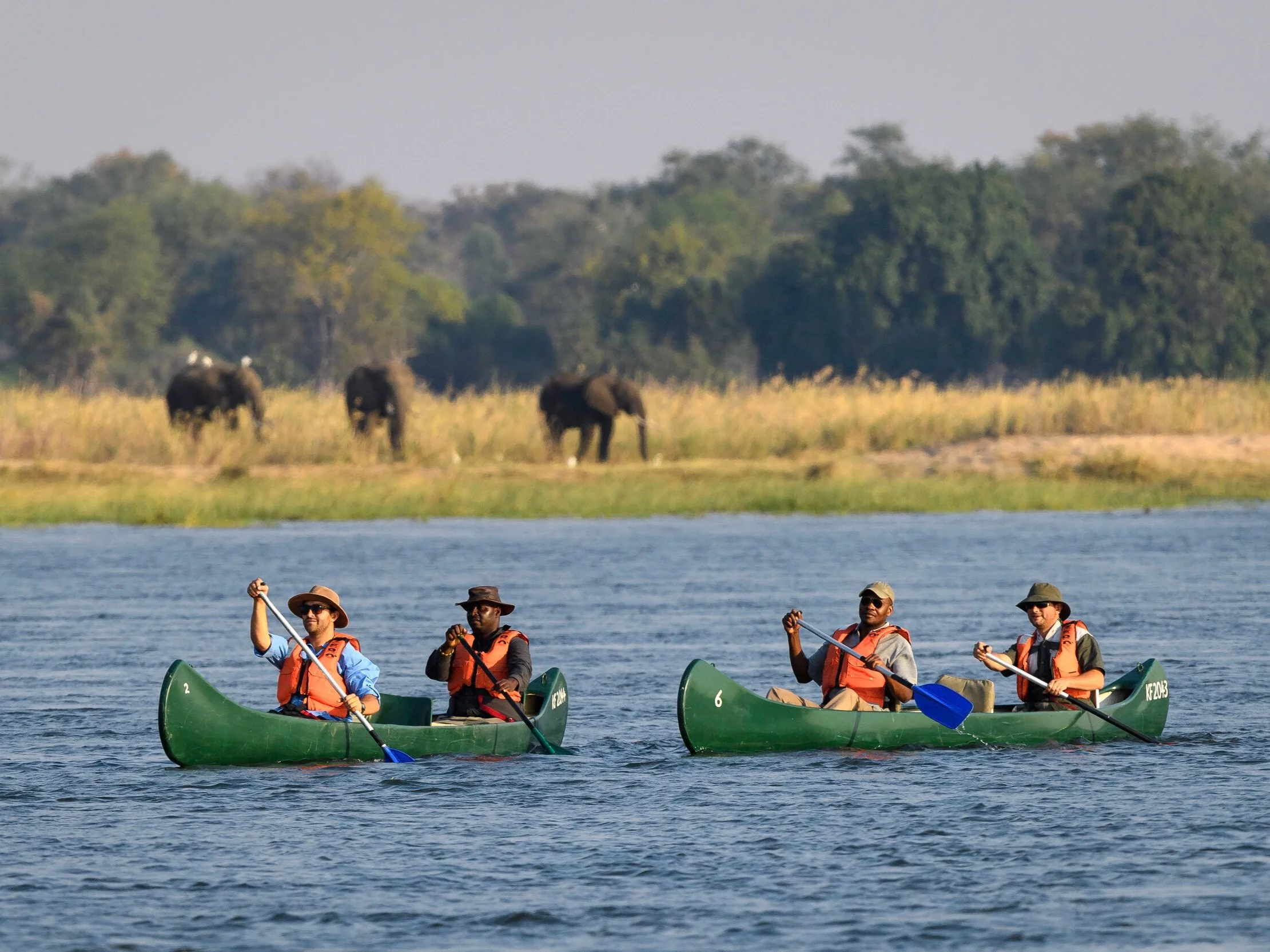 canoeing-elephant-Little-Ruckomechi-Mana-Pools-Zimbabwe-Safaris_Tett-Safaris.jpg