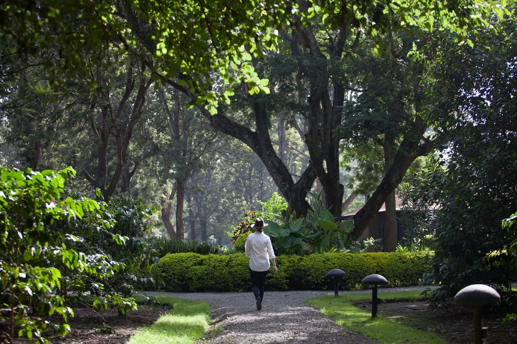 Arusha Coffee Lodge - Leafy Gardens.jpg