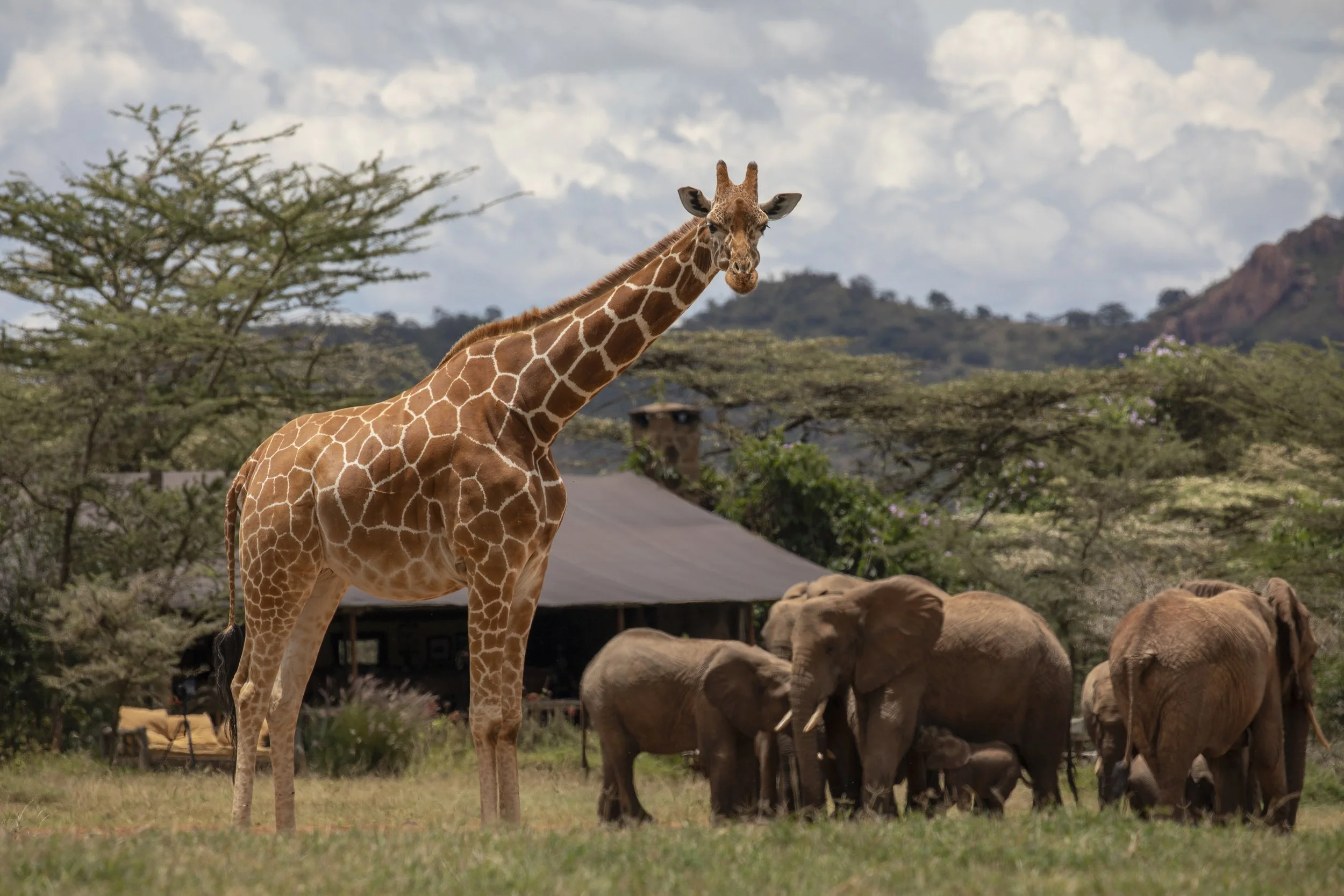 Enasoit Camp Mess Tent View.jpg