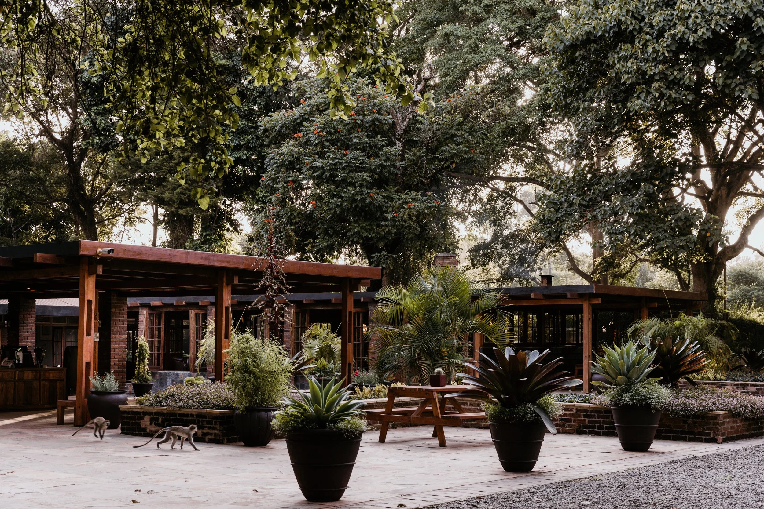 Arusha Coffee Lodge - Grounds.jpg