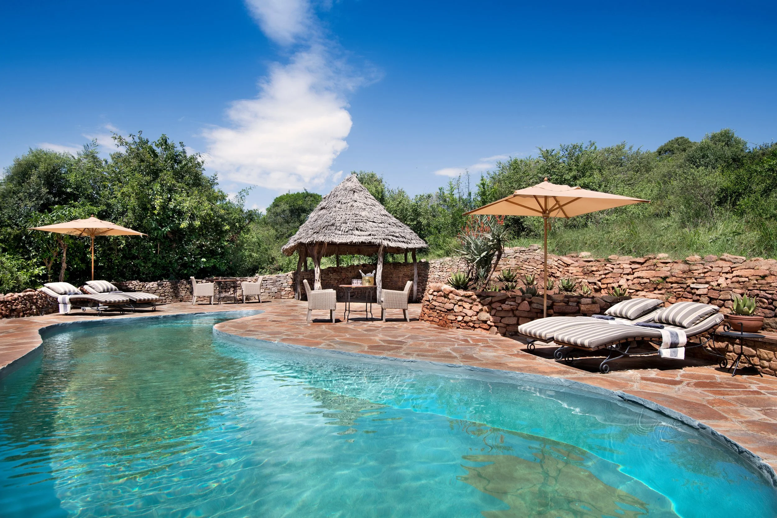 Tanzania-Kleins-Camp-guest-area-swimming-pool _3_-High-Resolution-Width=5000px.jpg