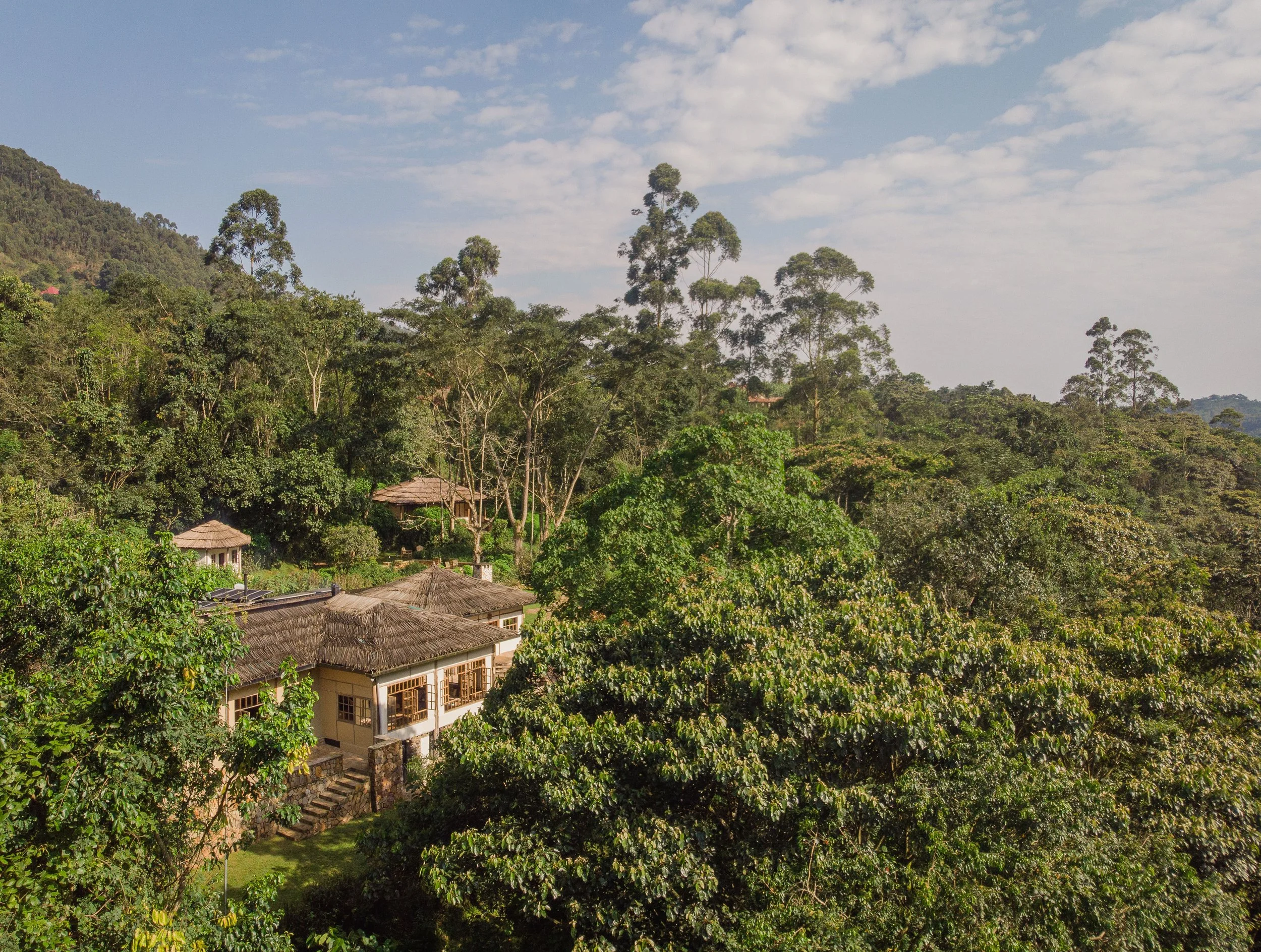 1-Bwindi Lodge-DJI_0771.jpg