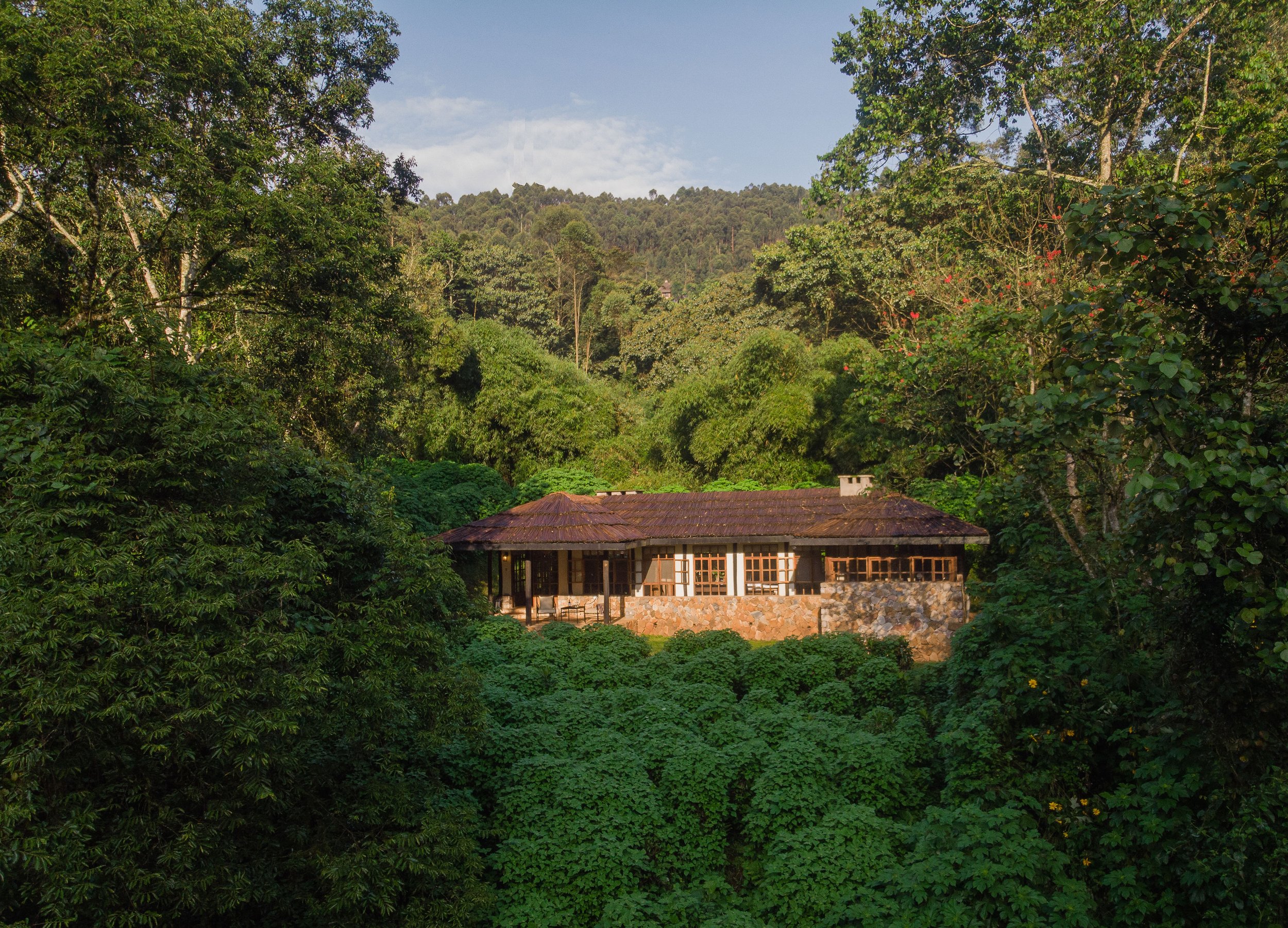 10-Bwindi Lodge-Deluxe RoomDJI_0733.jpg