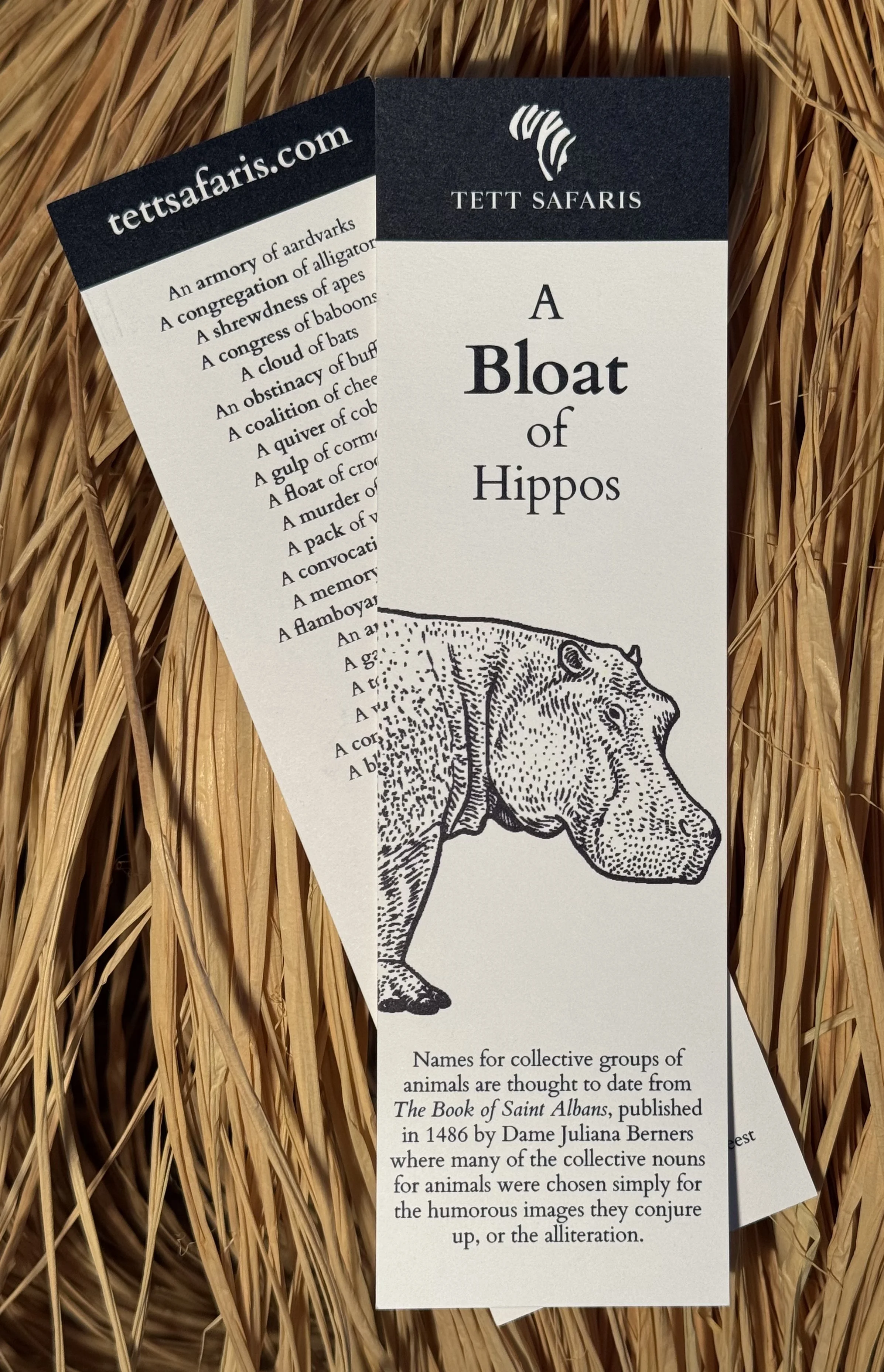 Photo 2-17-26, 1 25 43 pm.jpg