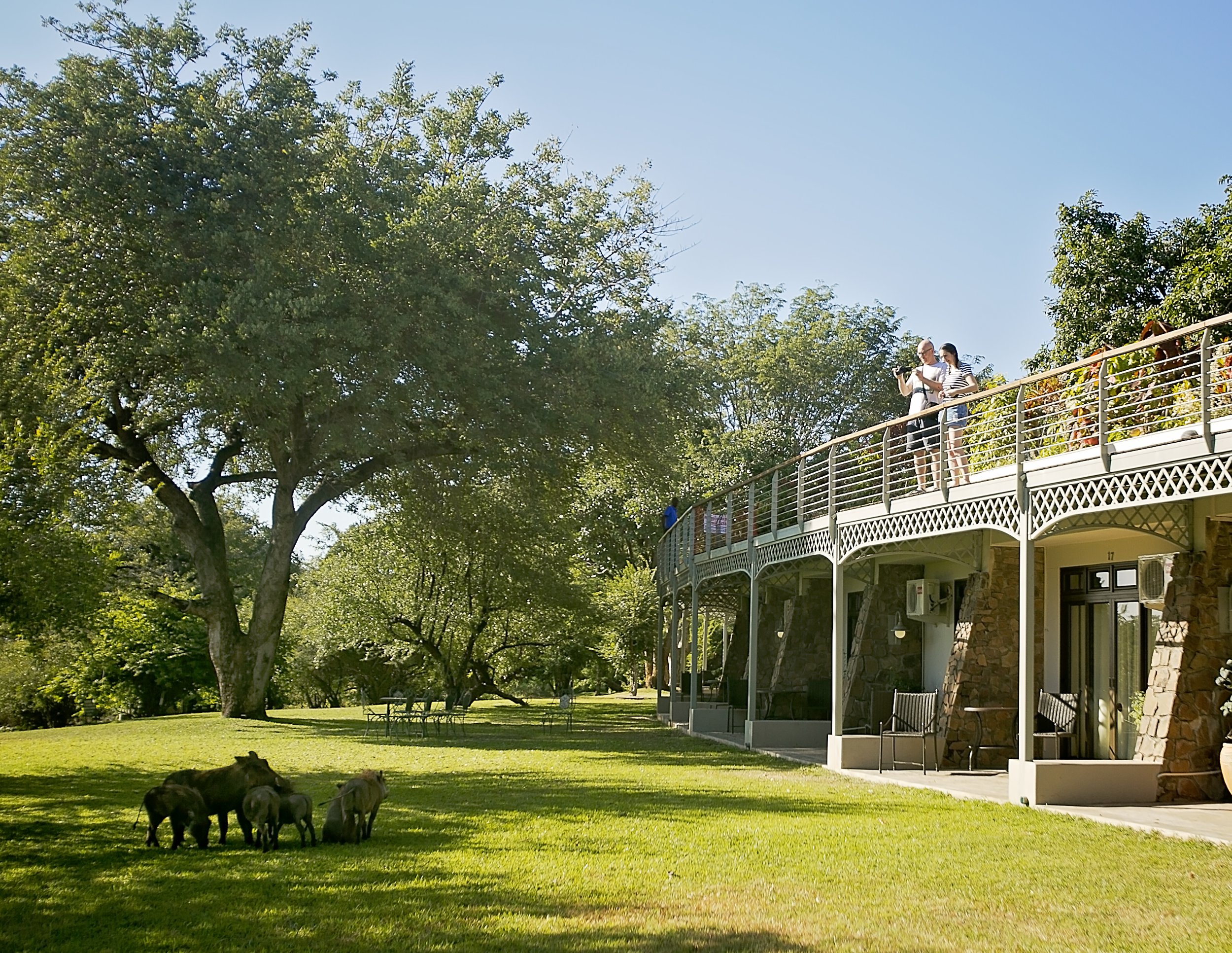 Warthogs & Classic Wing - ILH.jpg