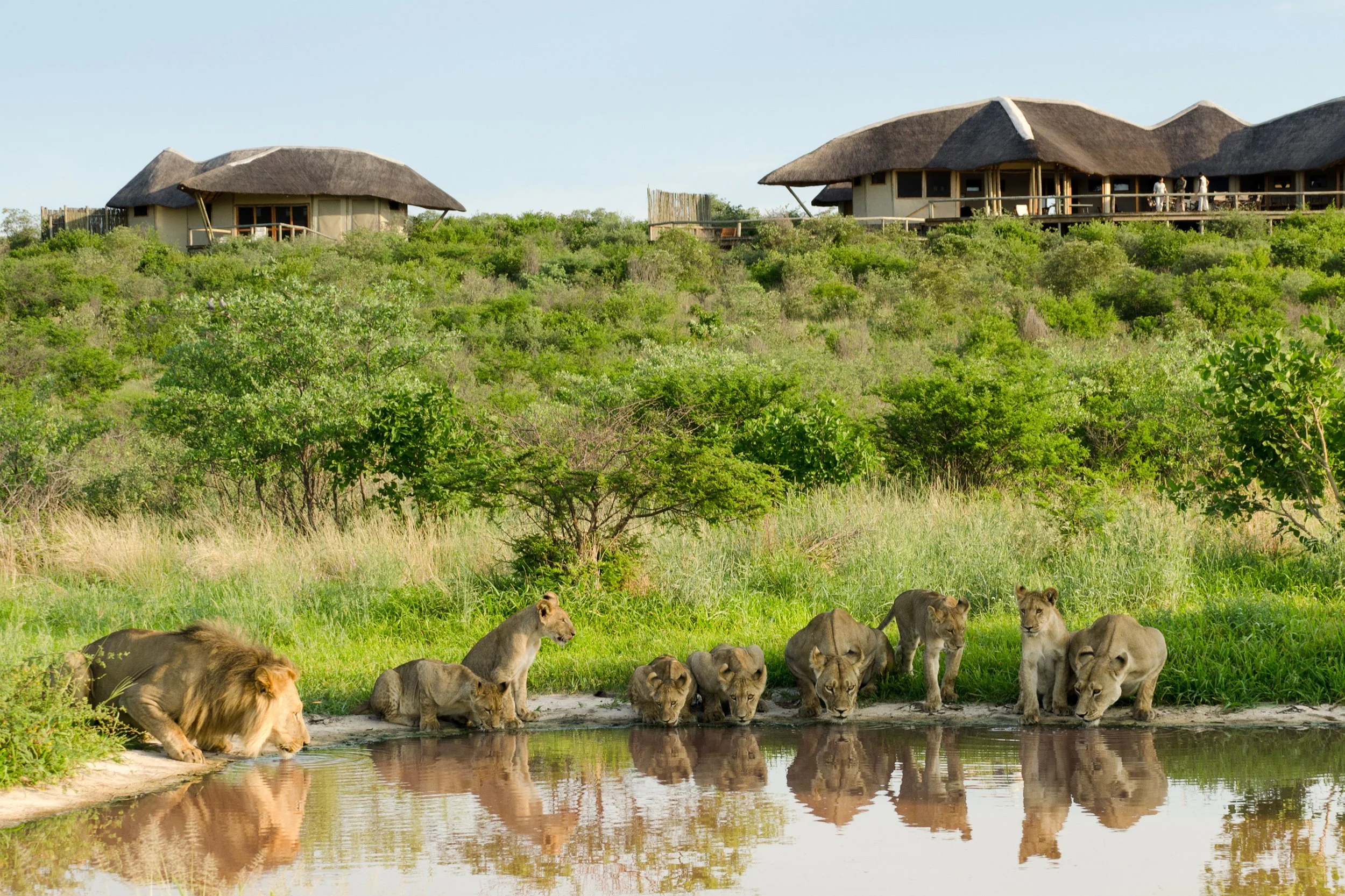 Tau Pan - Main Camp - 12.jpg