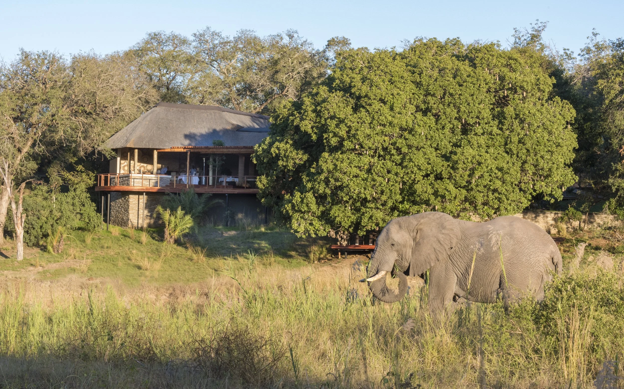 Front Of Main Area.jpg