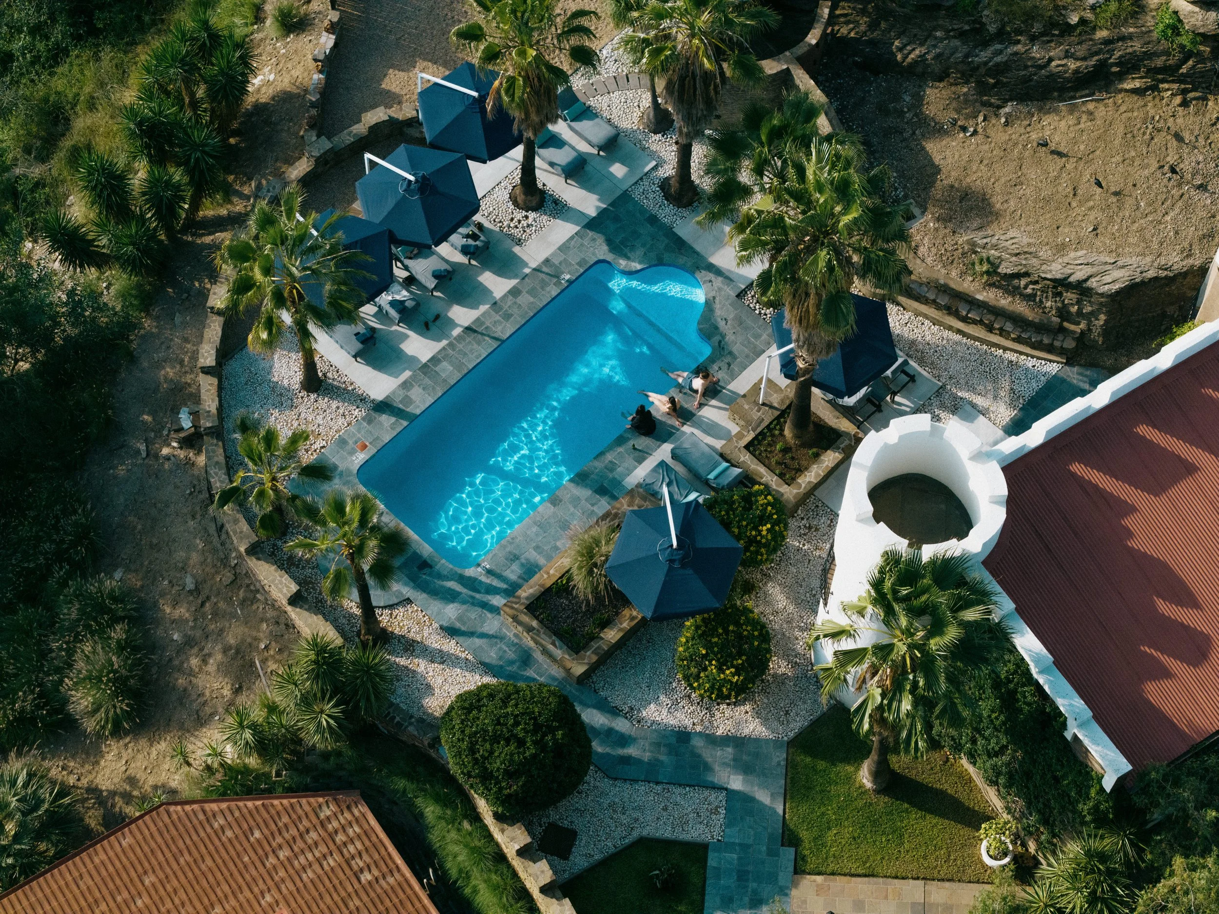 Pool Bird View (1).jpg