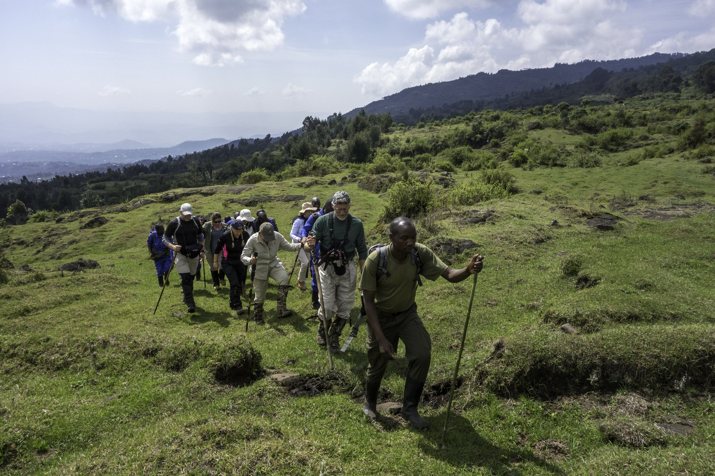 Bisate-Volcanoes-National-Park-Rwanda-Safaris (23).jpg