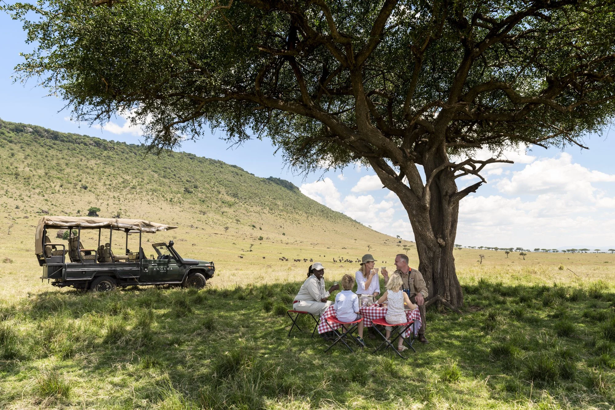 Picnic in the Maasai Mara on Safari.jpg