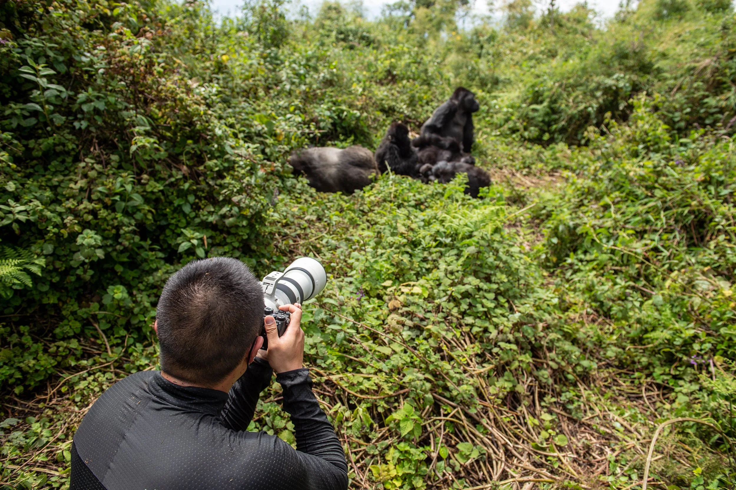 Gael RVW - 21 - 055937.jpg