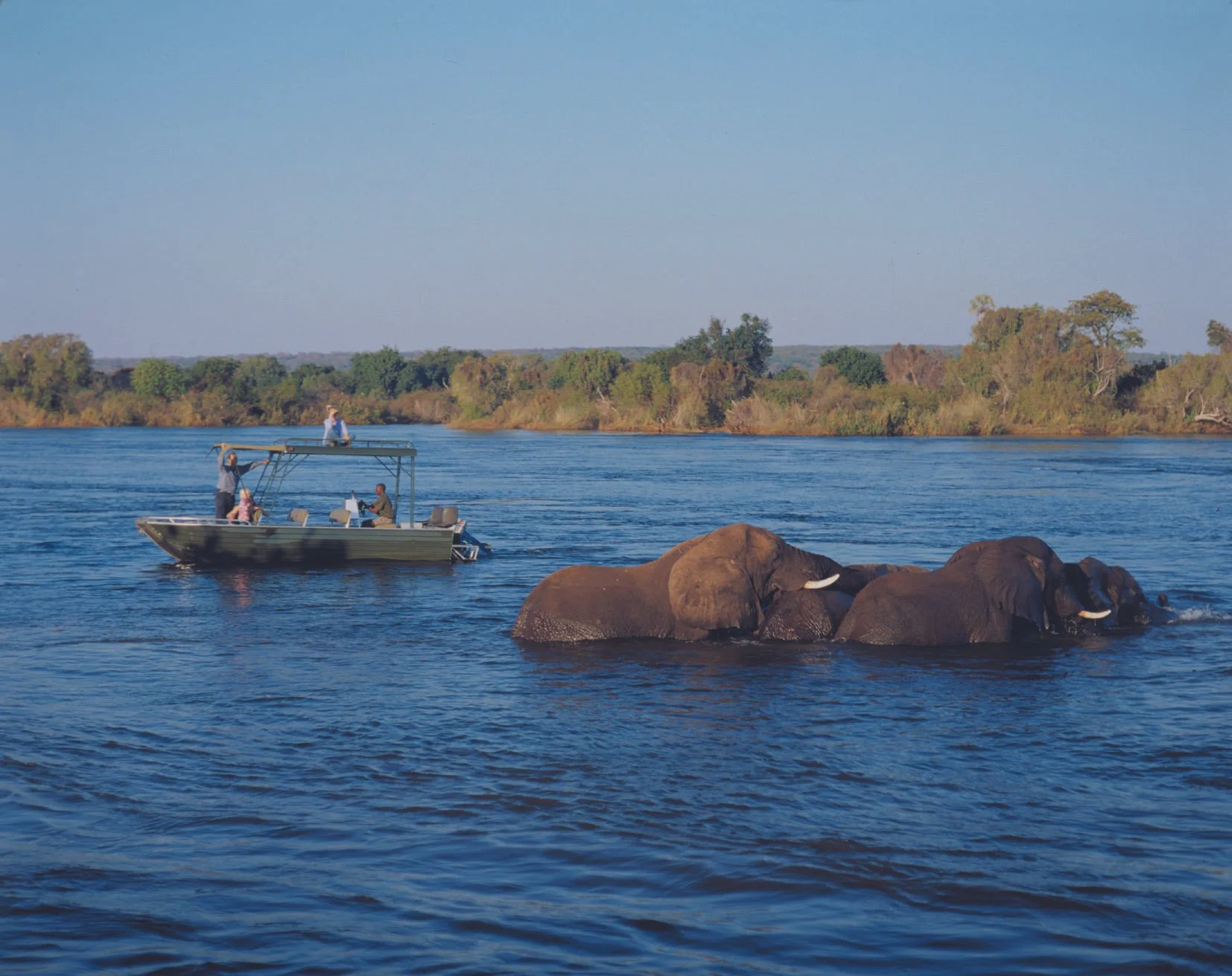 gameviewing-by-boat-livingstone-zambia (5).jpg
