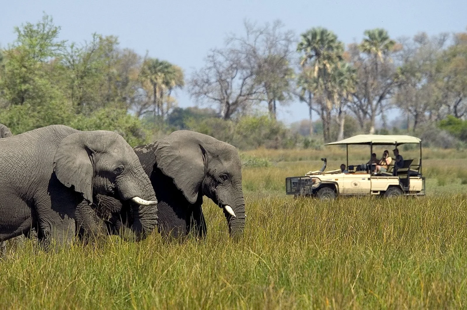 The "Emerald Escape": Why Next Year’s Winter Should Be Spent in Africa