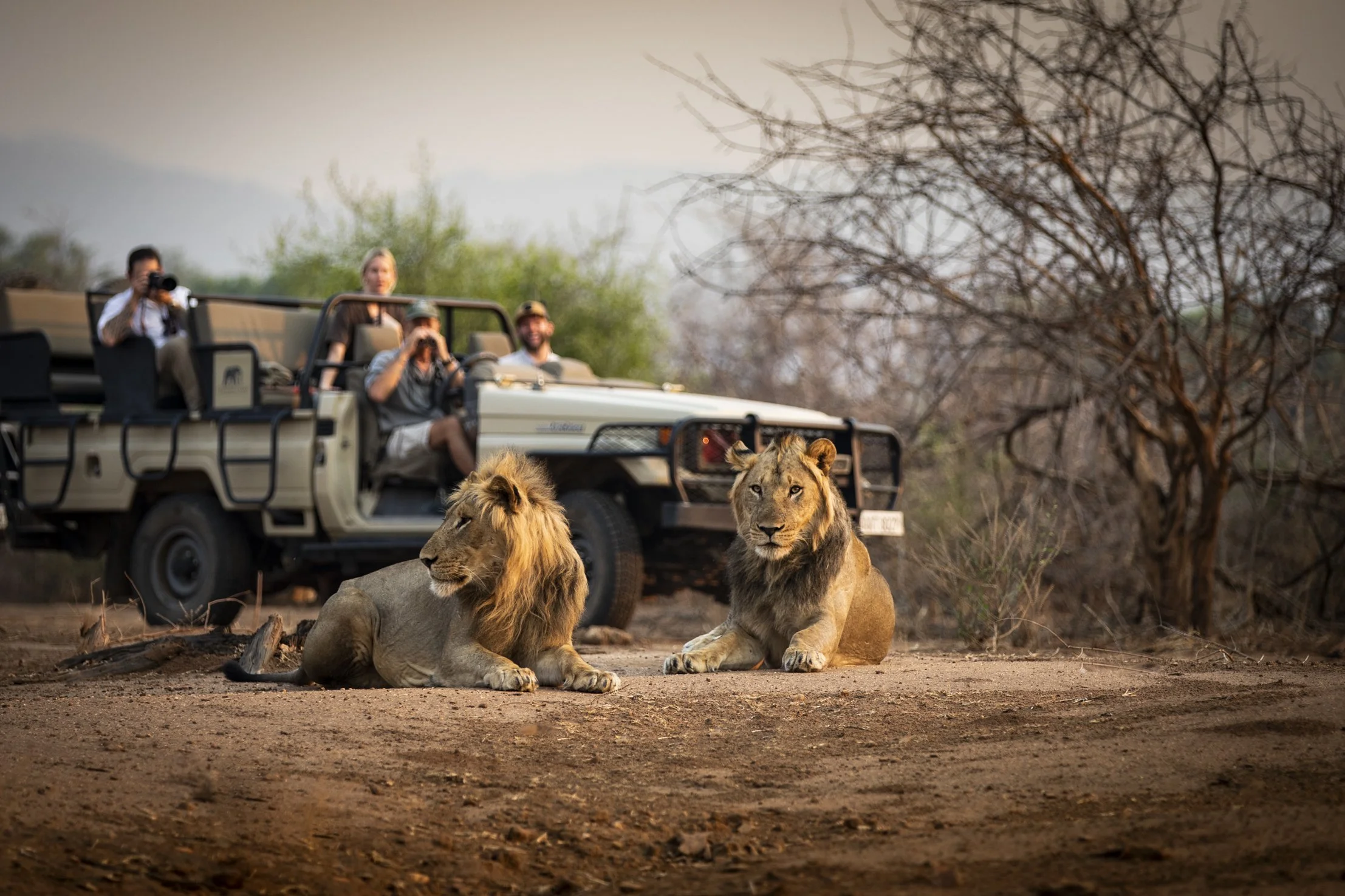 C.L.A.Ws – Communities Living Amongst Wildlife