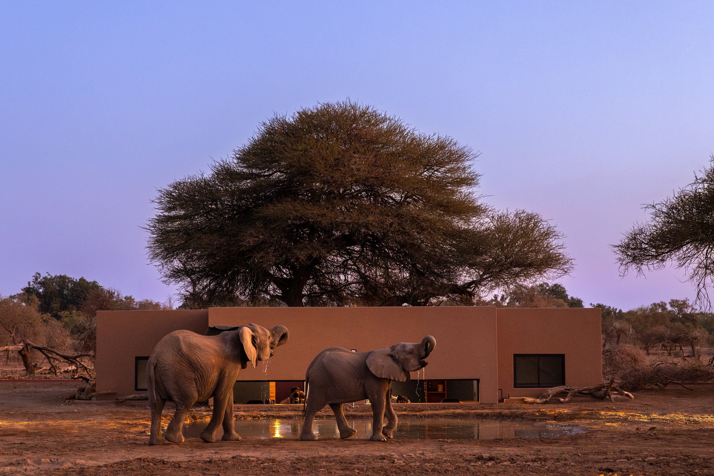 19) Lala Limpopo Sleepout Hide.jpg