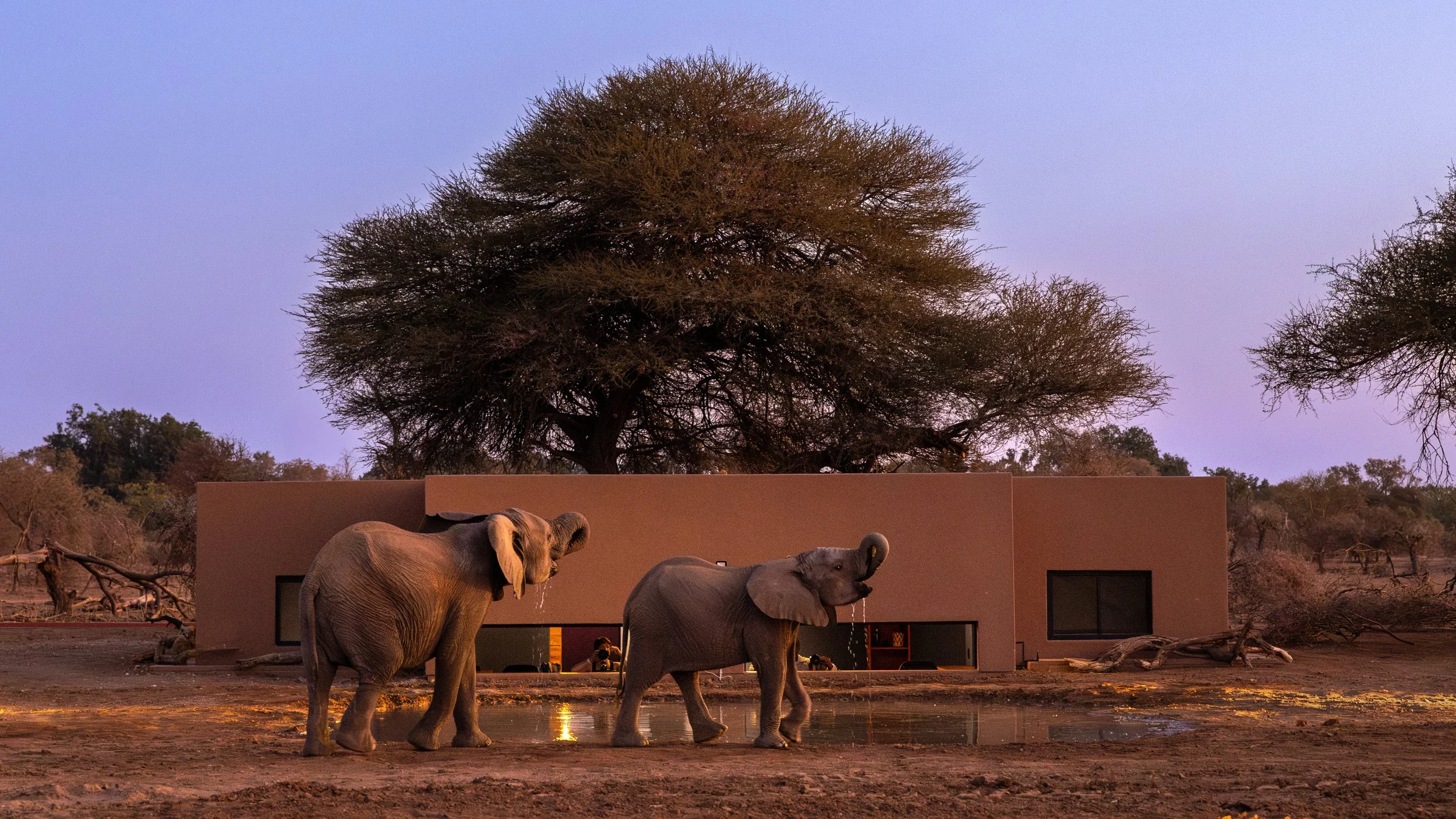 The Ultimate Overnight Safari in an Underground Photographic Hide&nbsp;