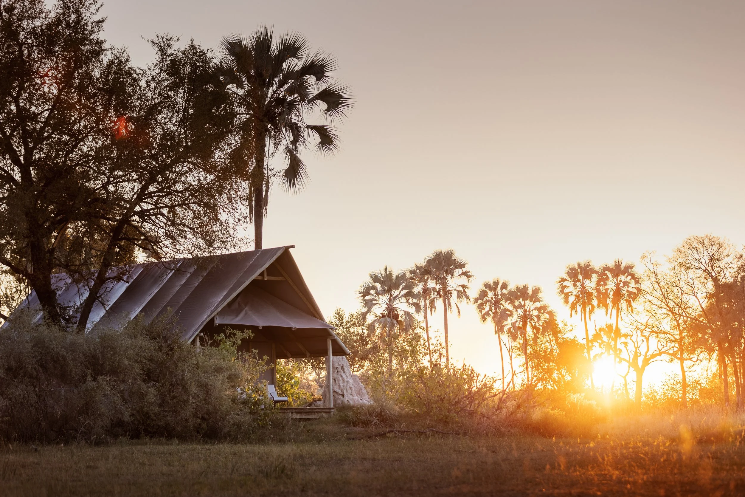 ChitabeLediba_StandardTents_TCunniffe_Toned_023.jpg