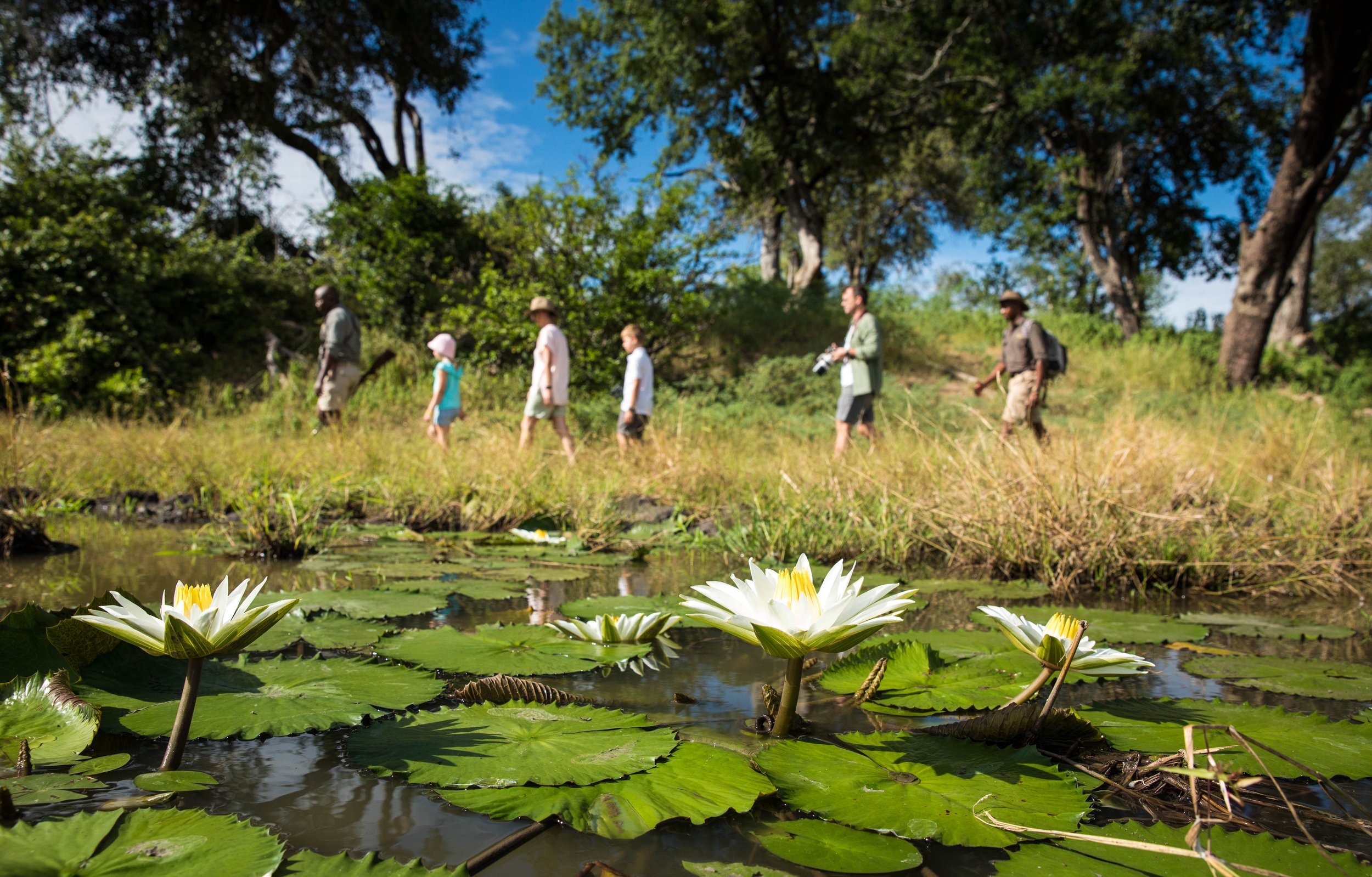 Great-Plains-Botswana-WalkingSafari-07.jpg