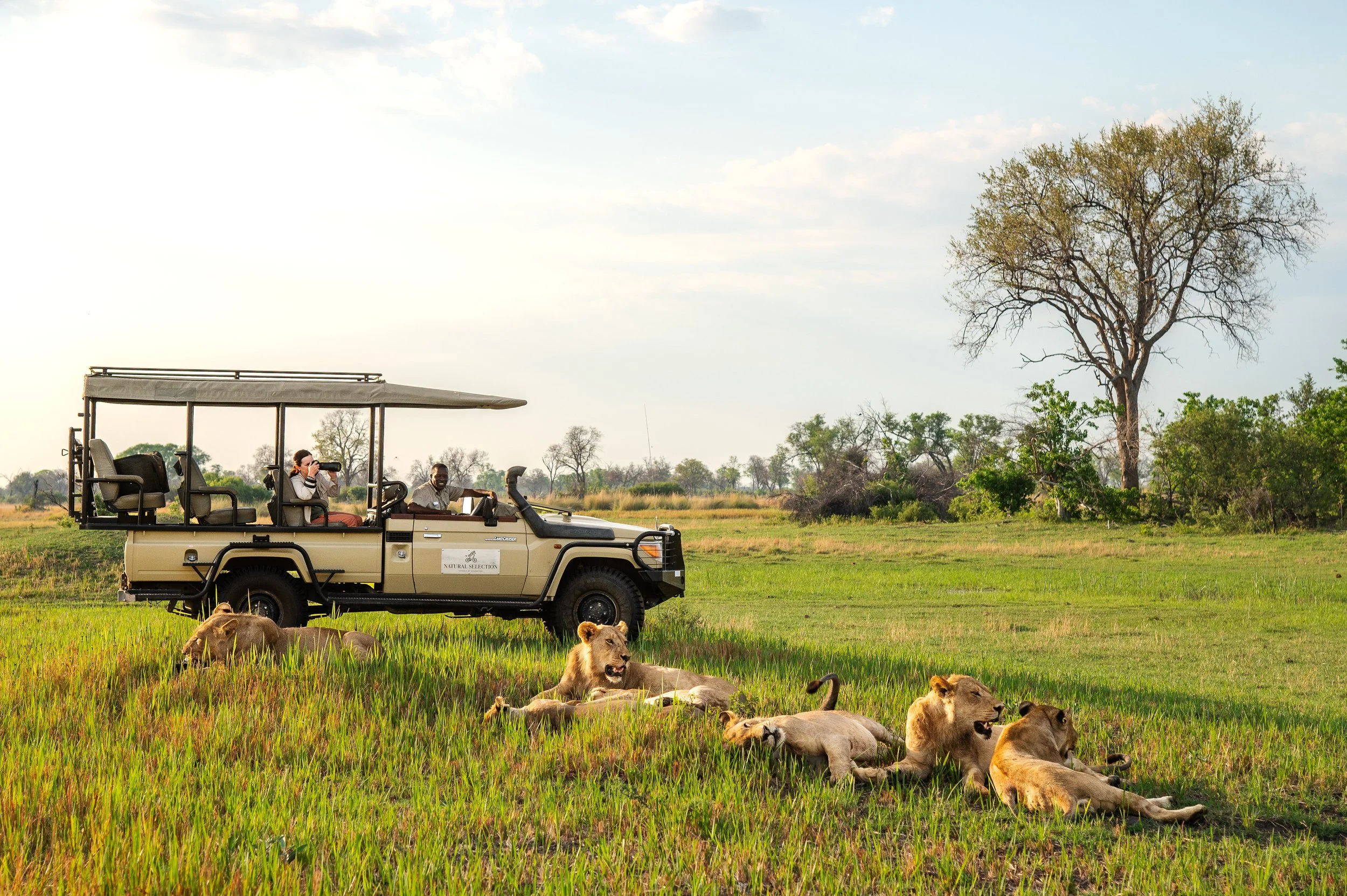 Bots_Sable Alley_Game Drive 1.jpg