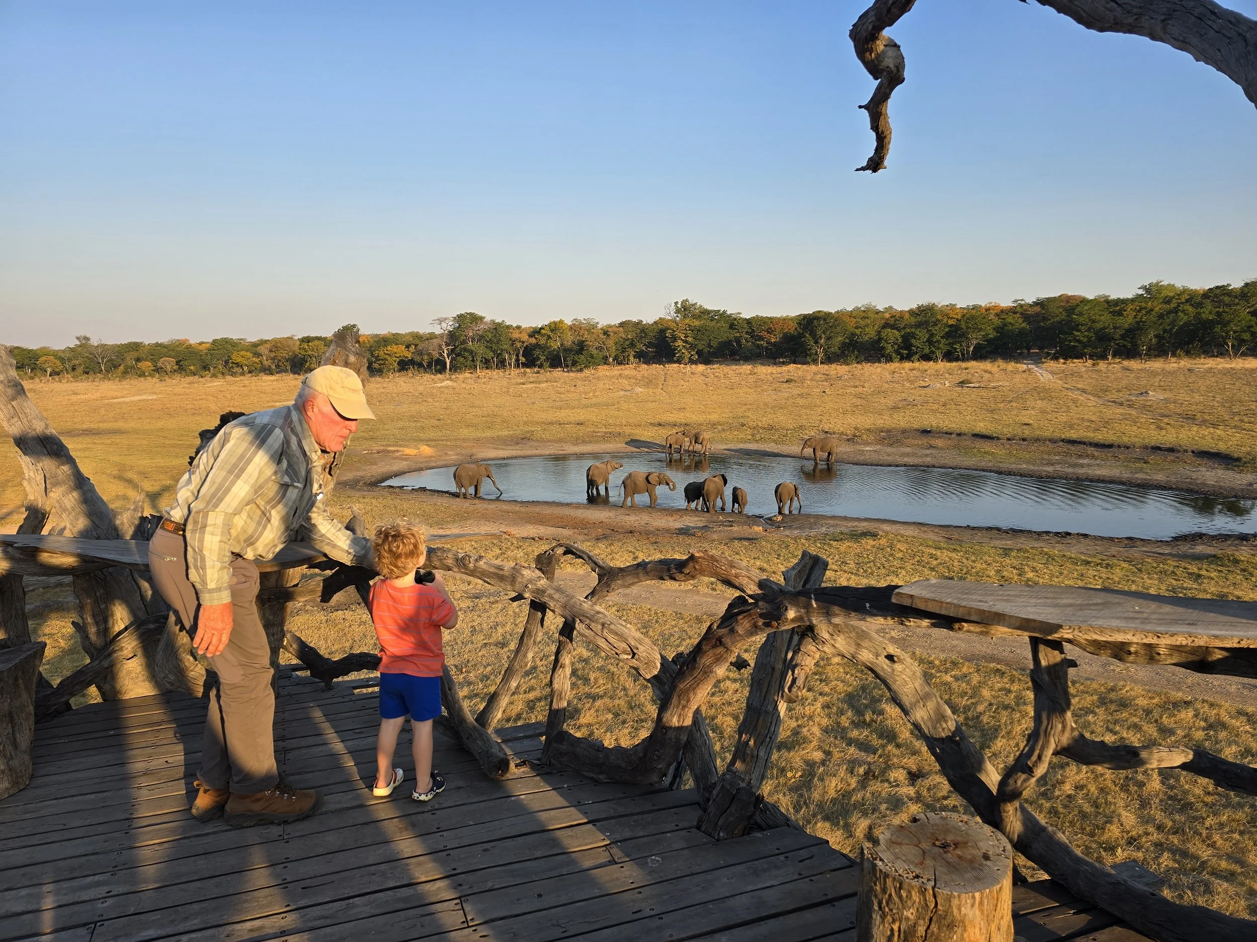 A Multi-Generational African Safari